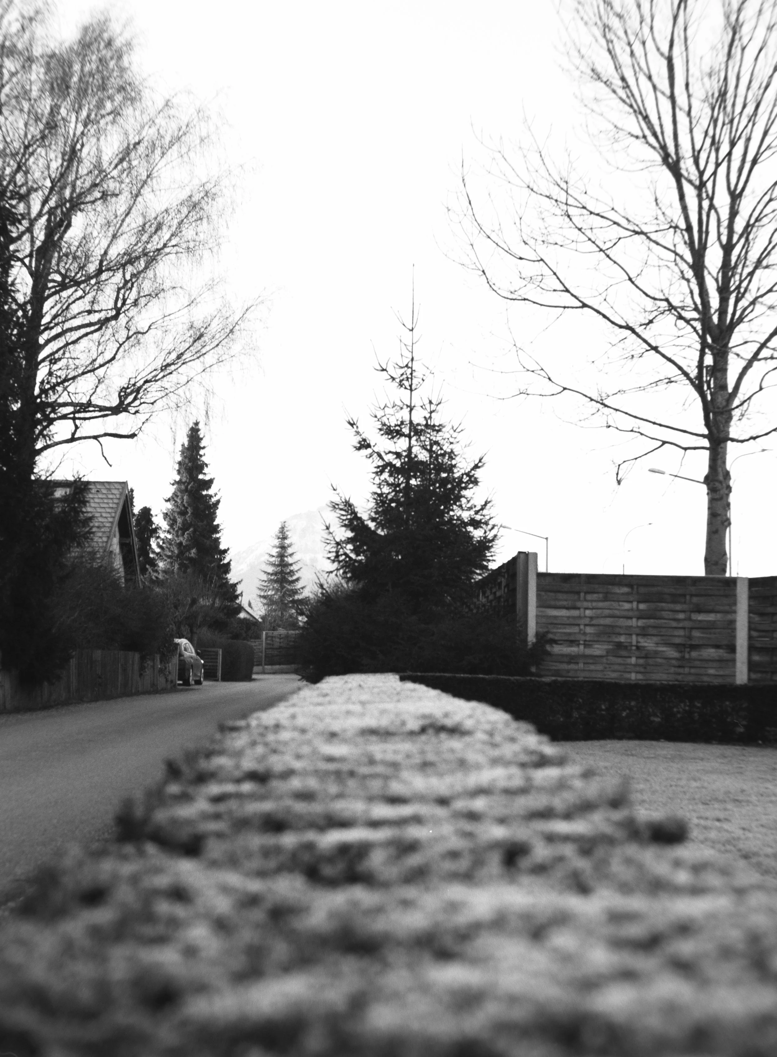 DSCF1174.jpg