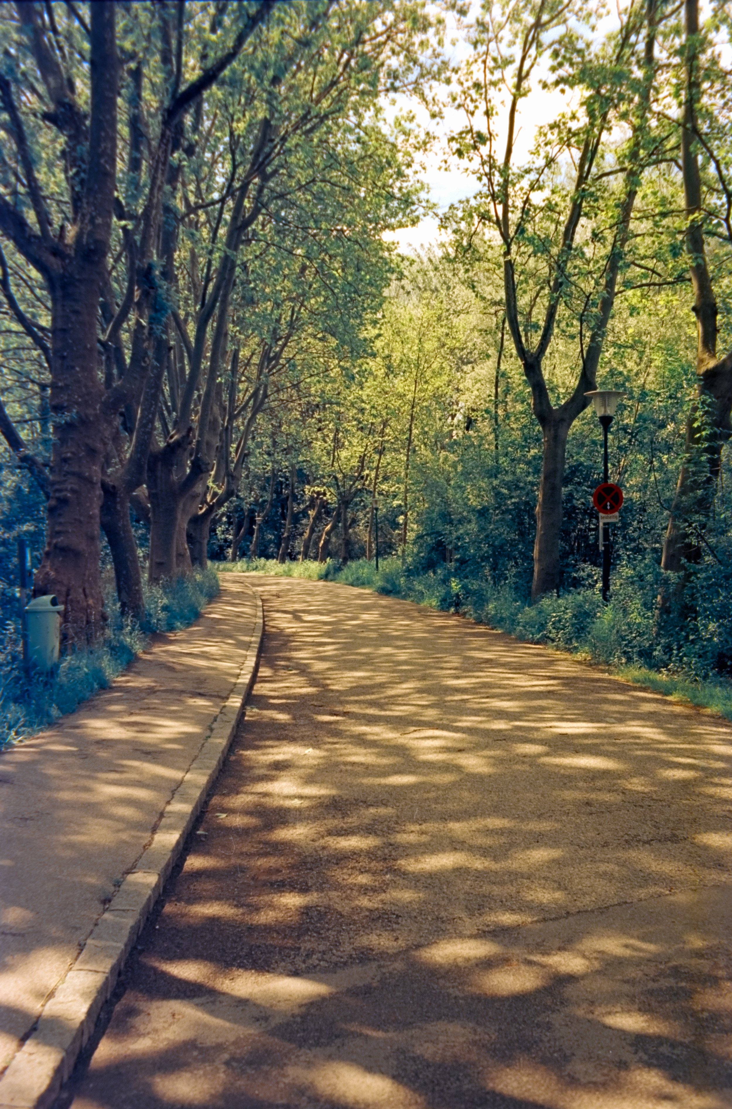 DSCF1494.jpg
