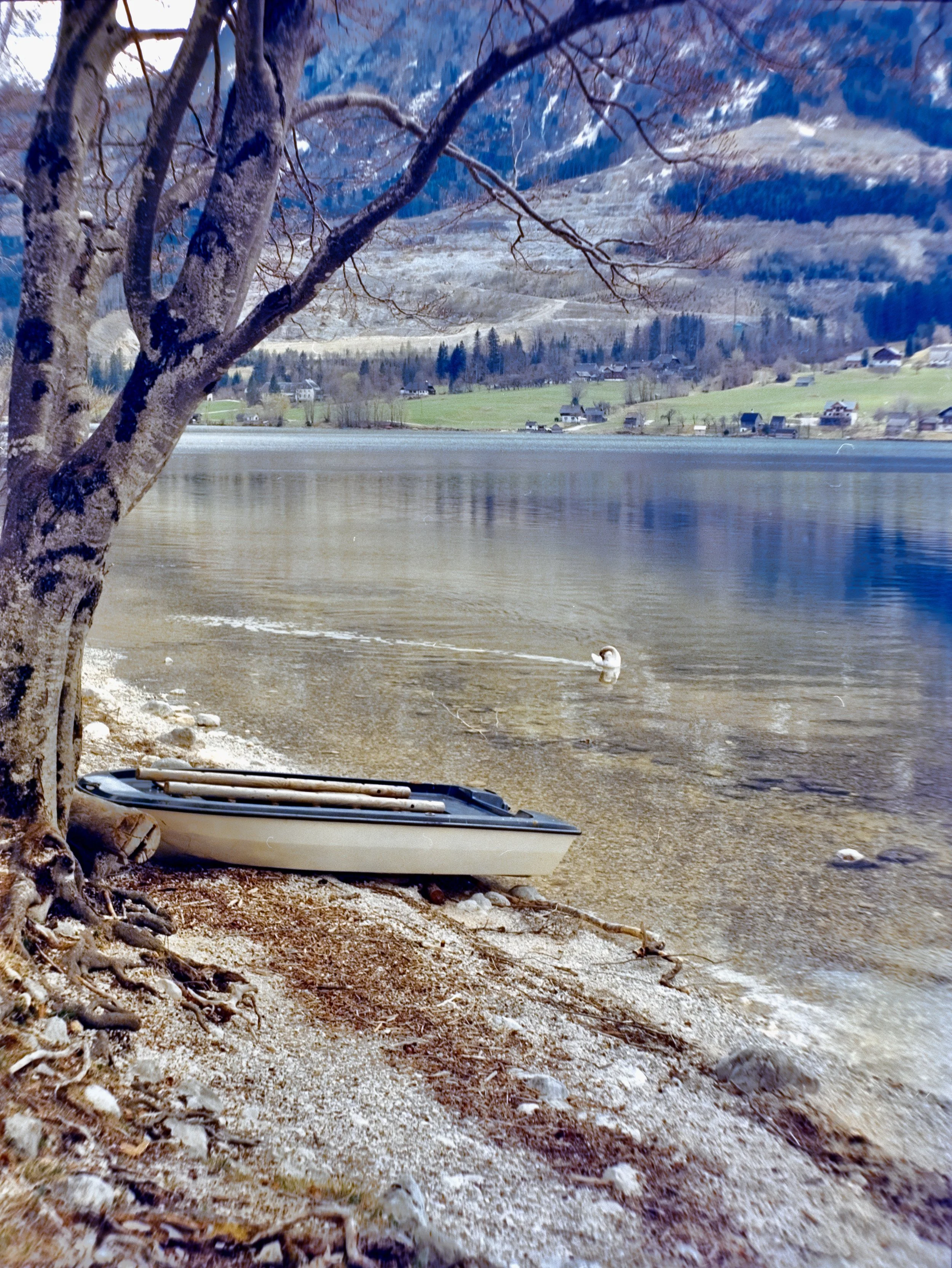 DSCF1375.jpg