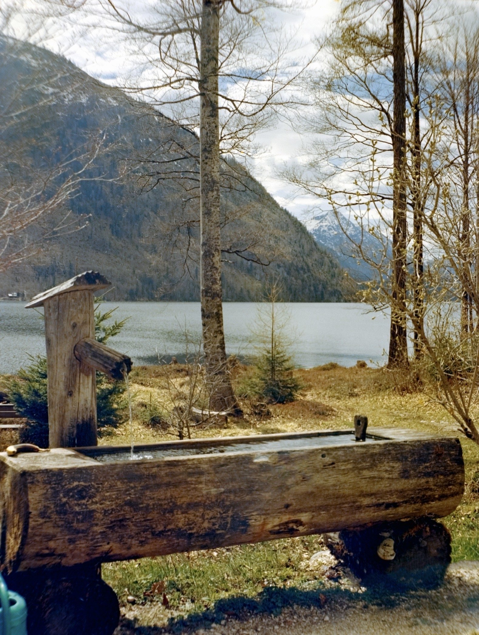 DSCF1380.jpg