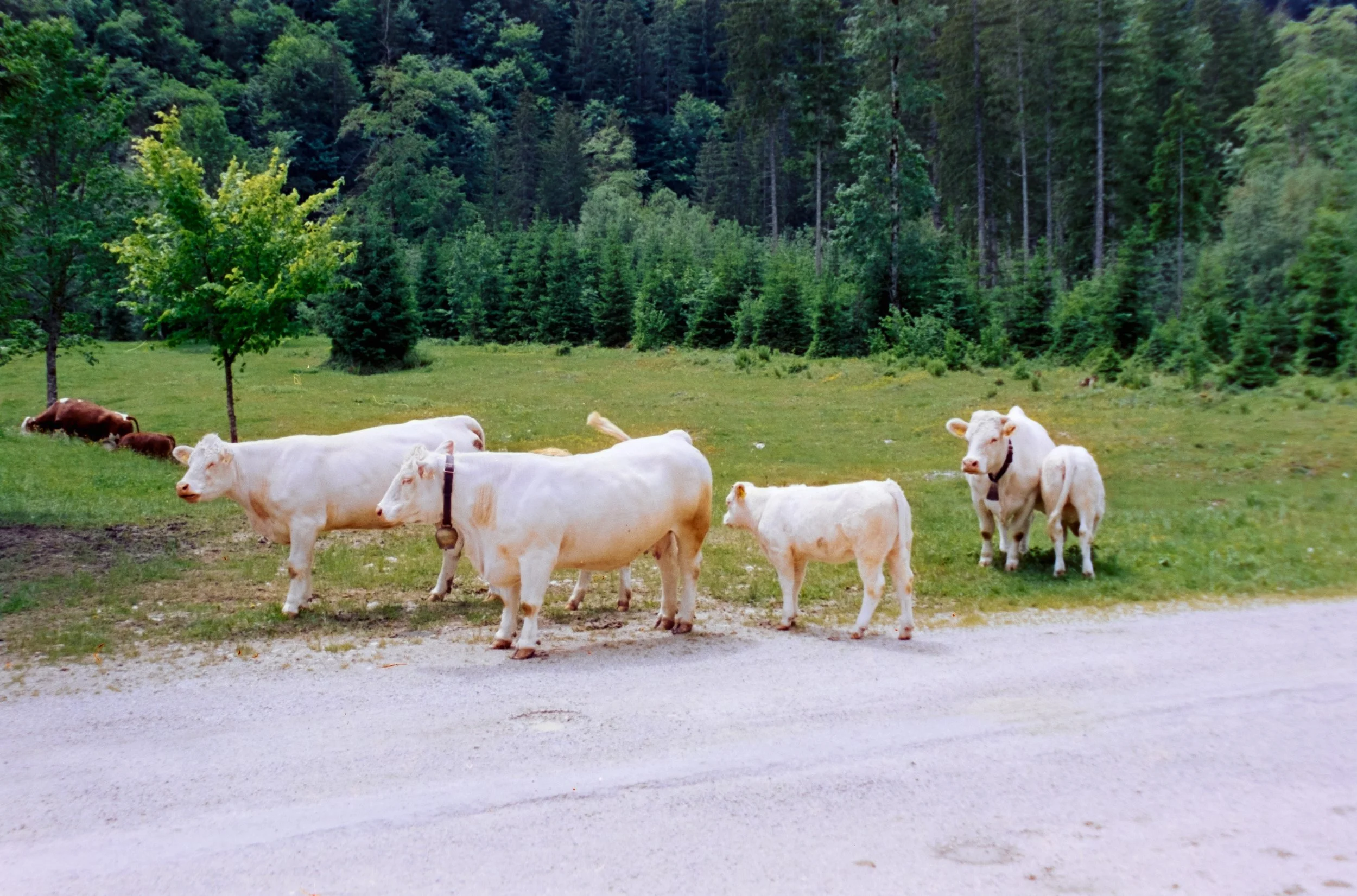 DSCF1499.jpg