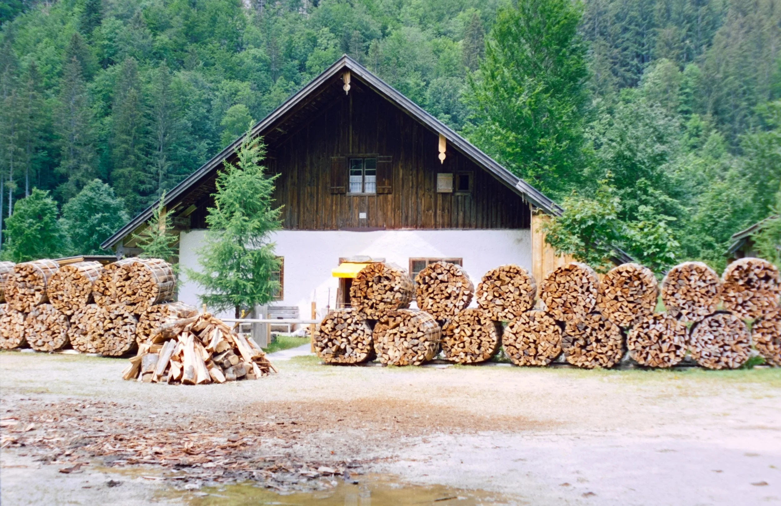 DSCF1510.jpg