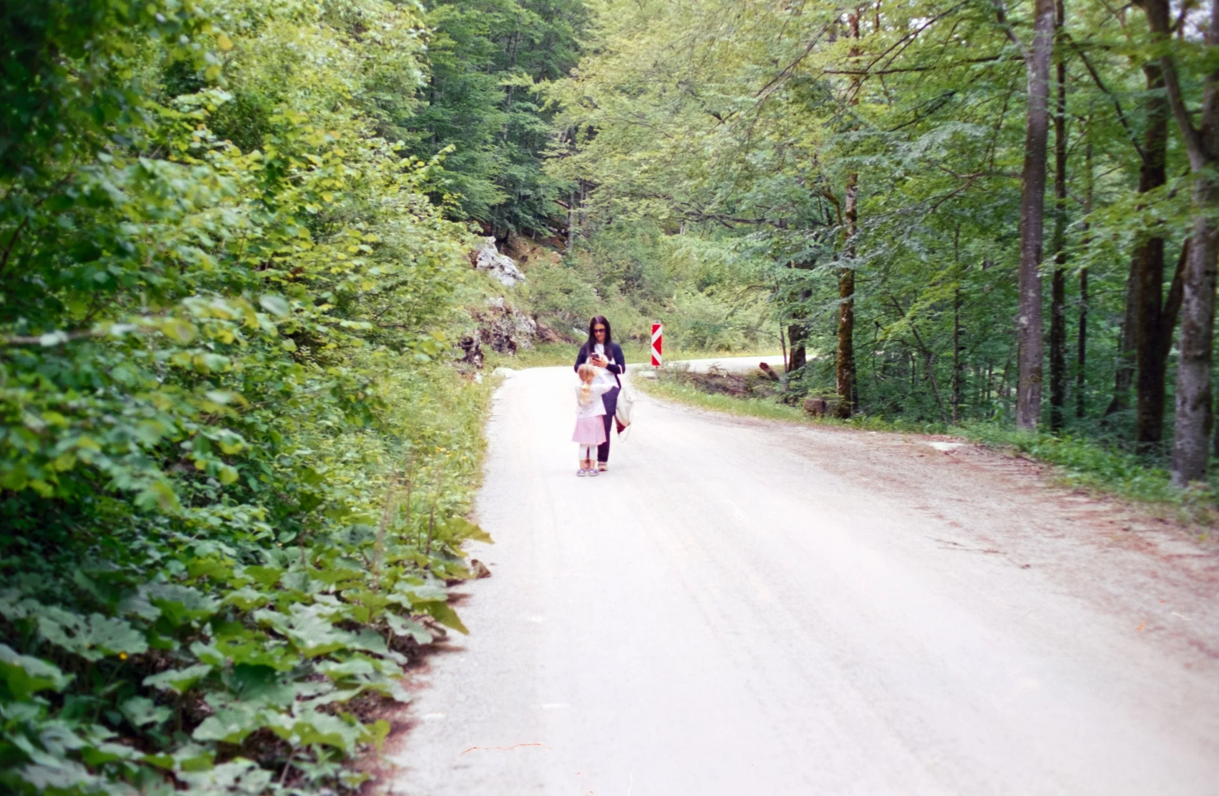 DSCF1525.jpg
