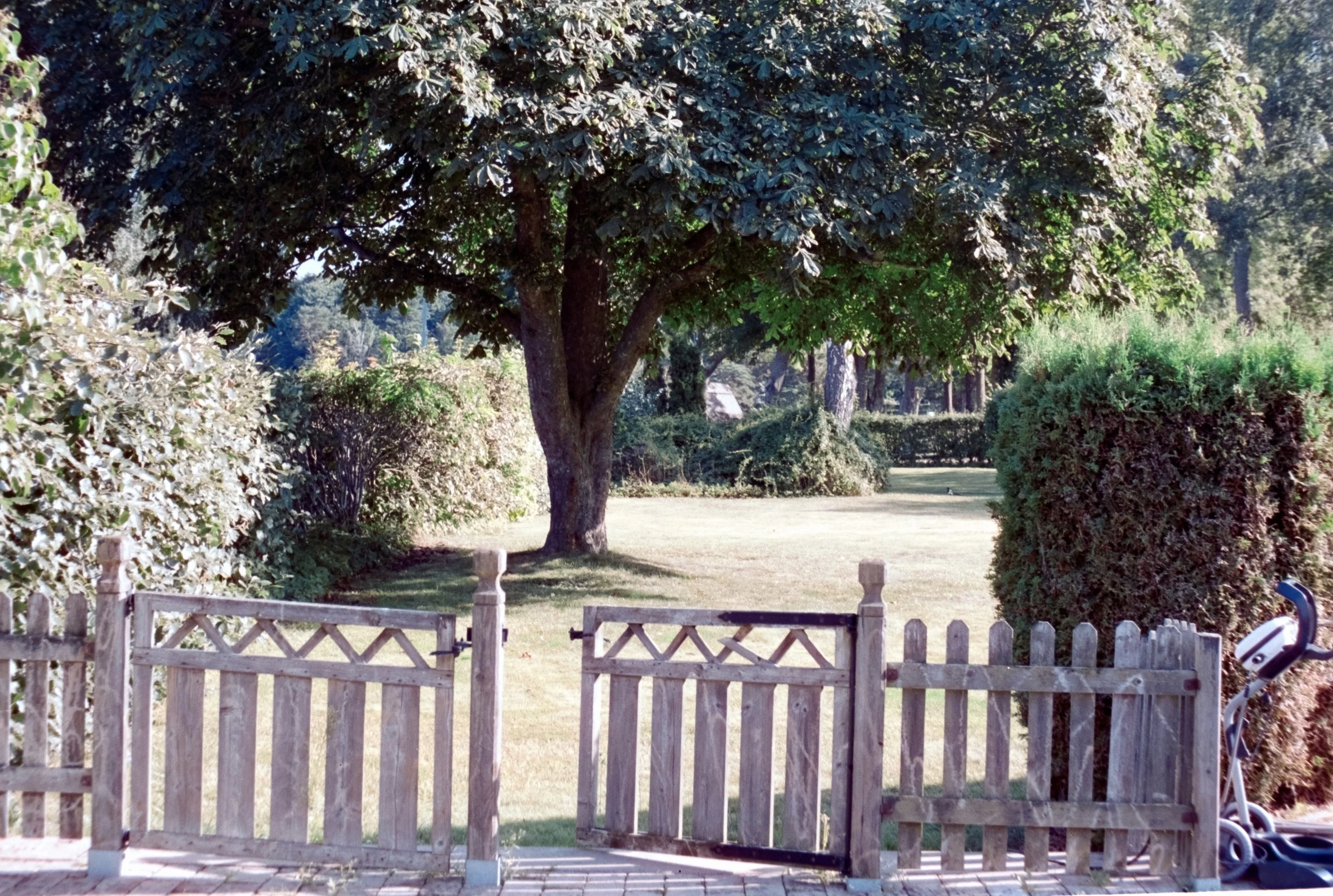 DSCF9680.jpg