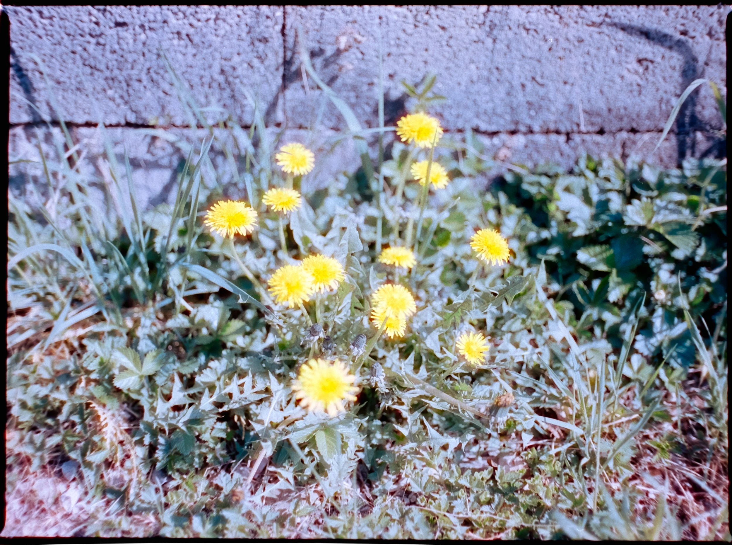 DSCF8852.jpg