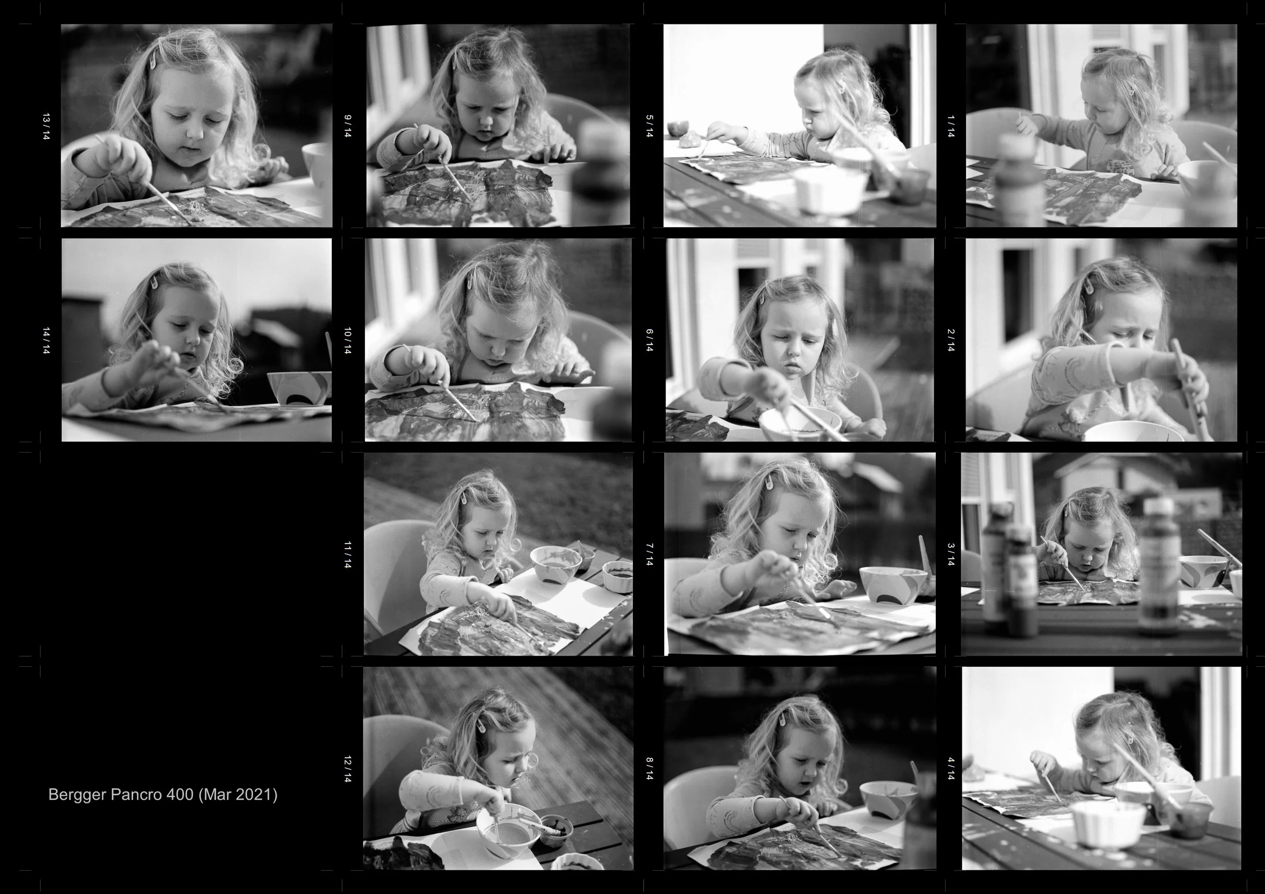 Bergger Pancro 400 contact sheet.JPG