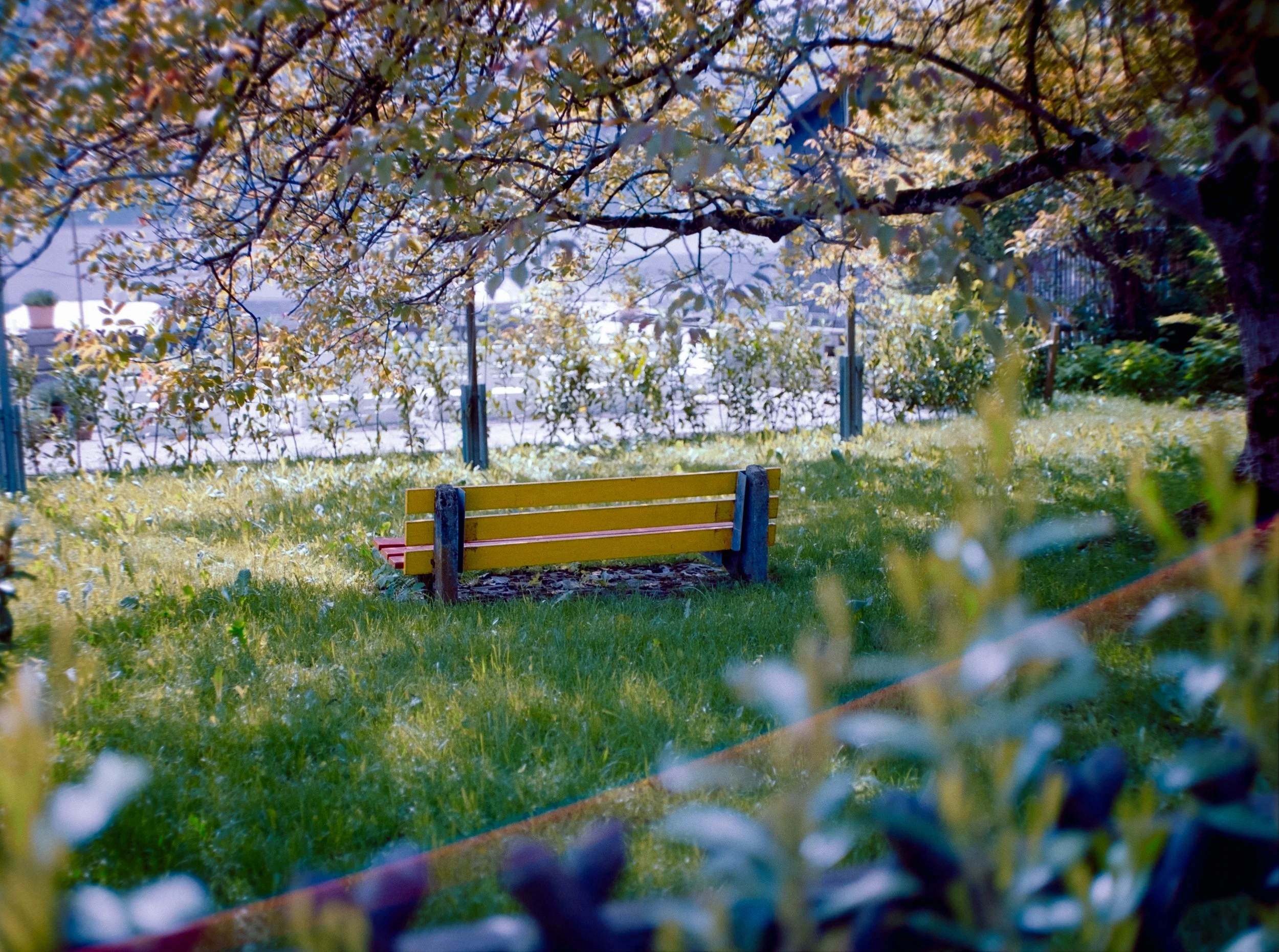 DSCF9362.jpg