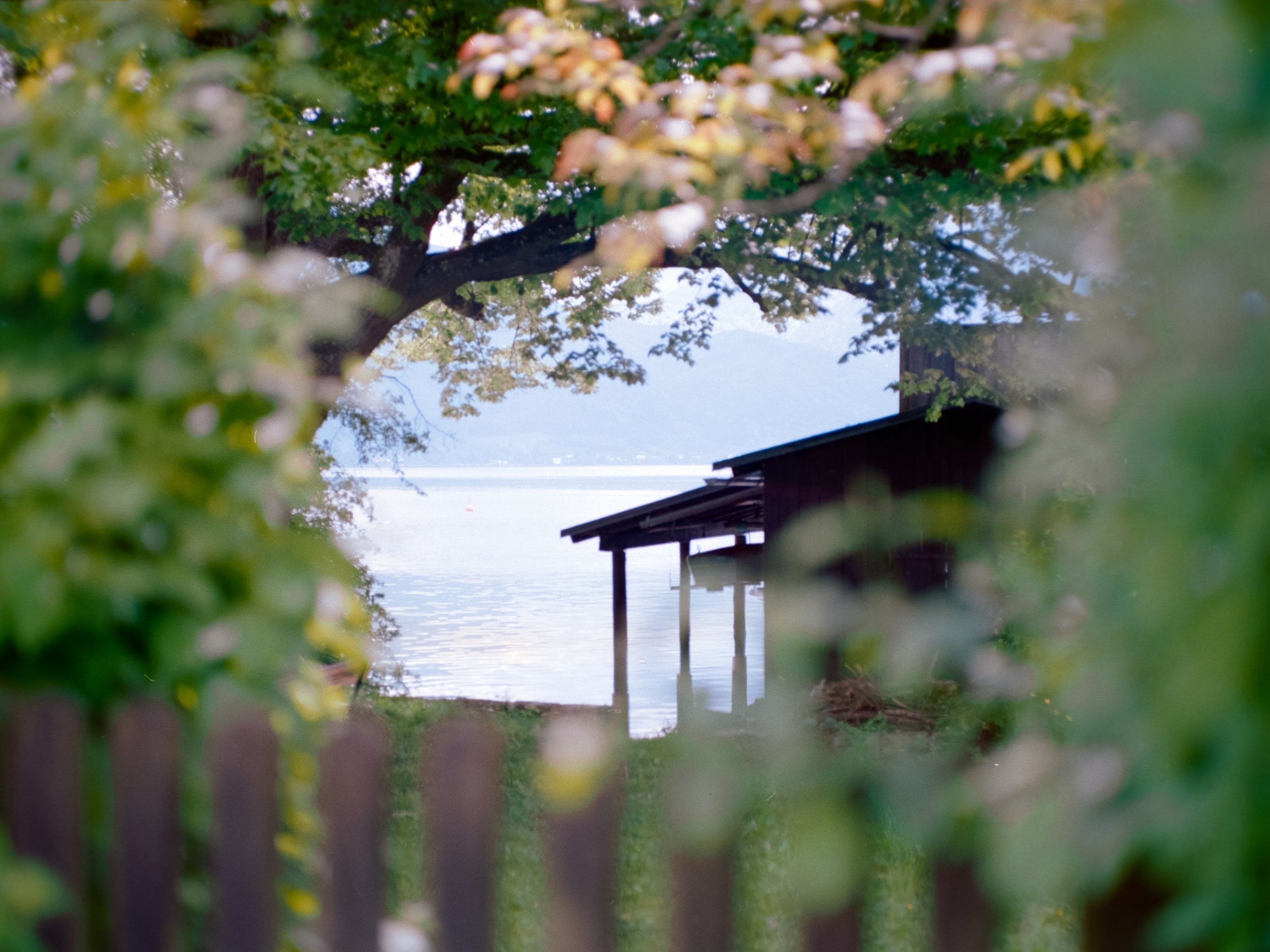 DSCF9361.jpg