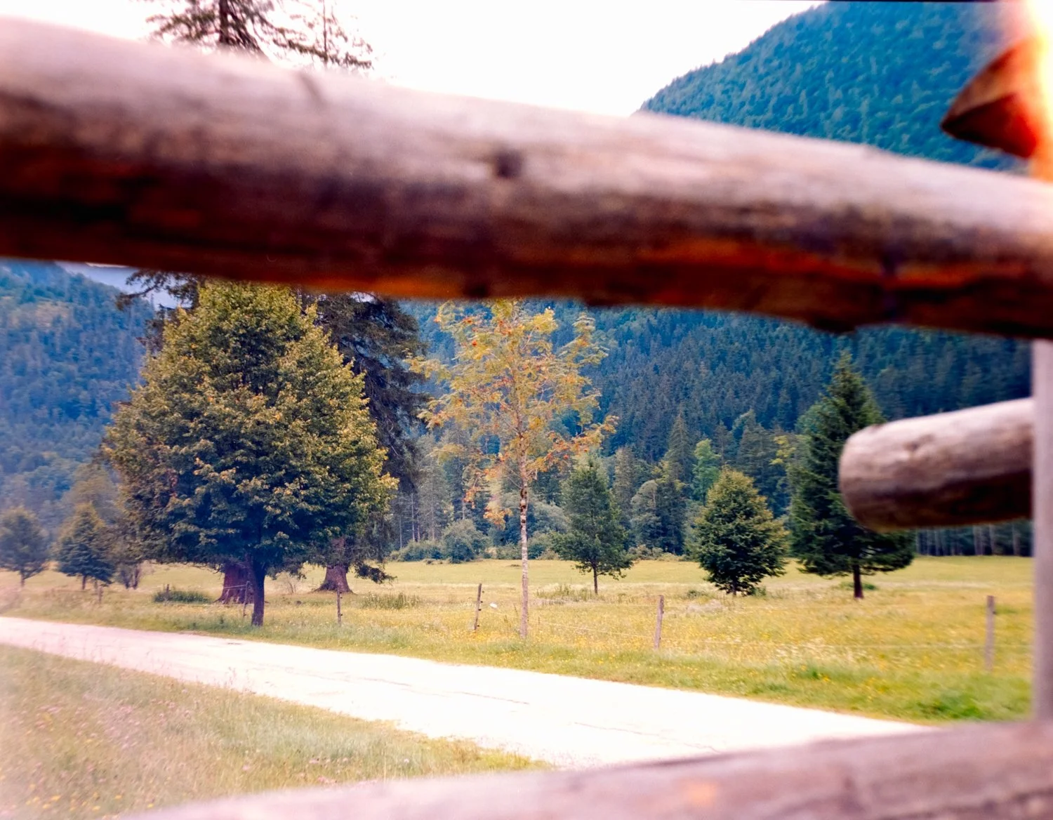 DSCF2096.jpg