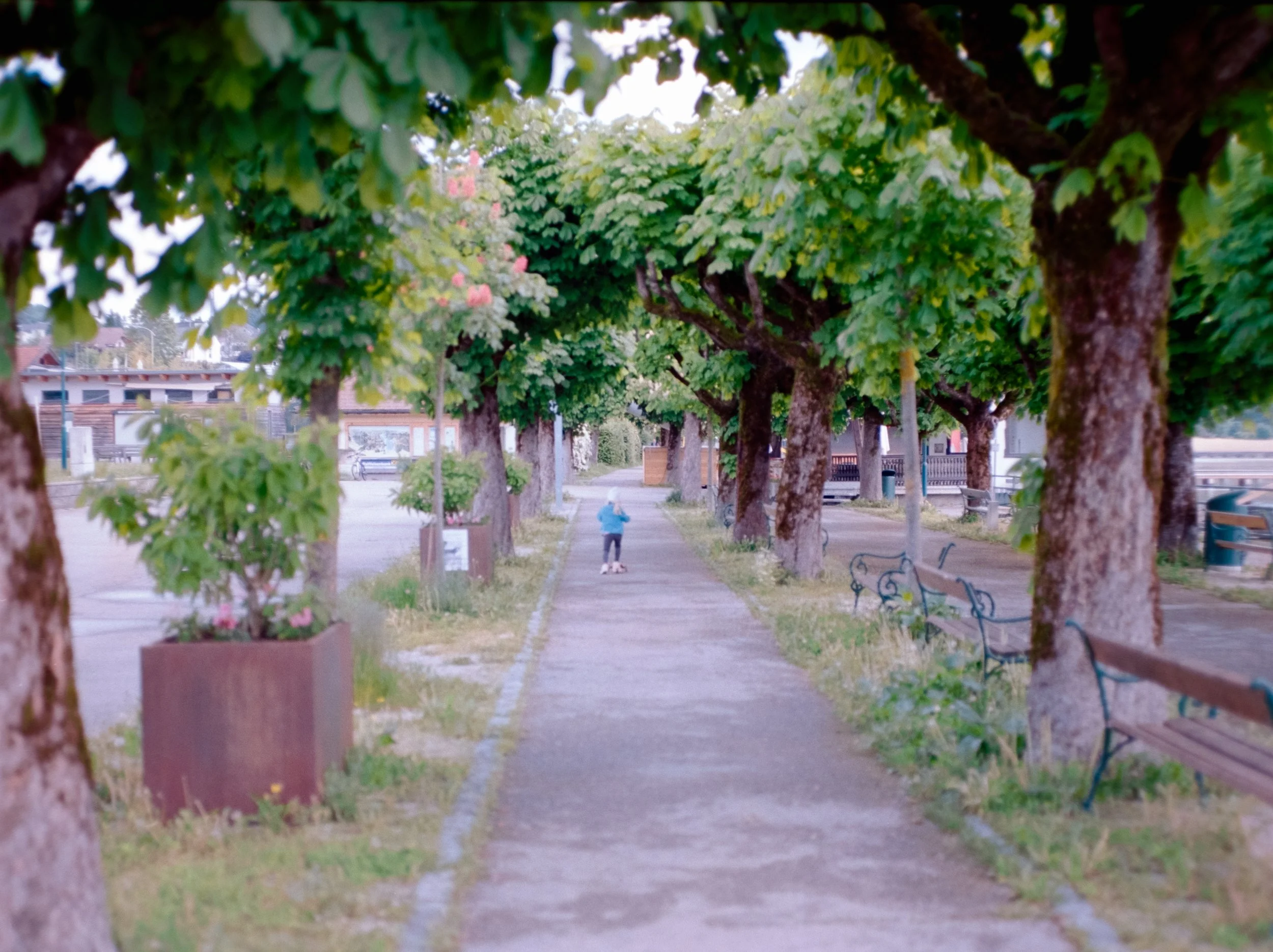 DSCF9359.jpg