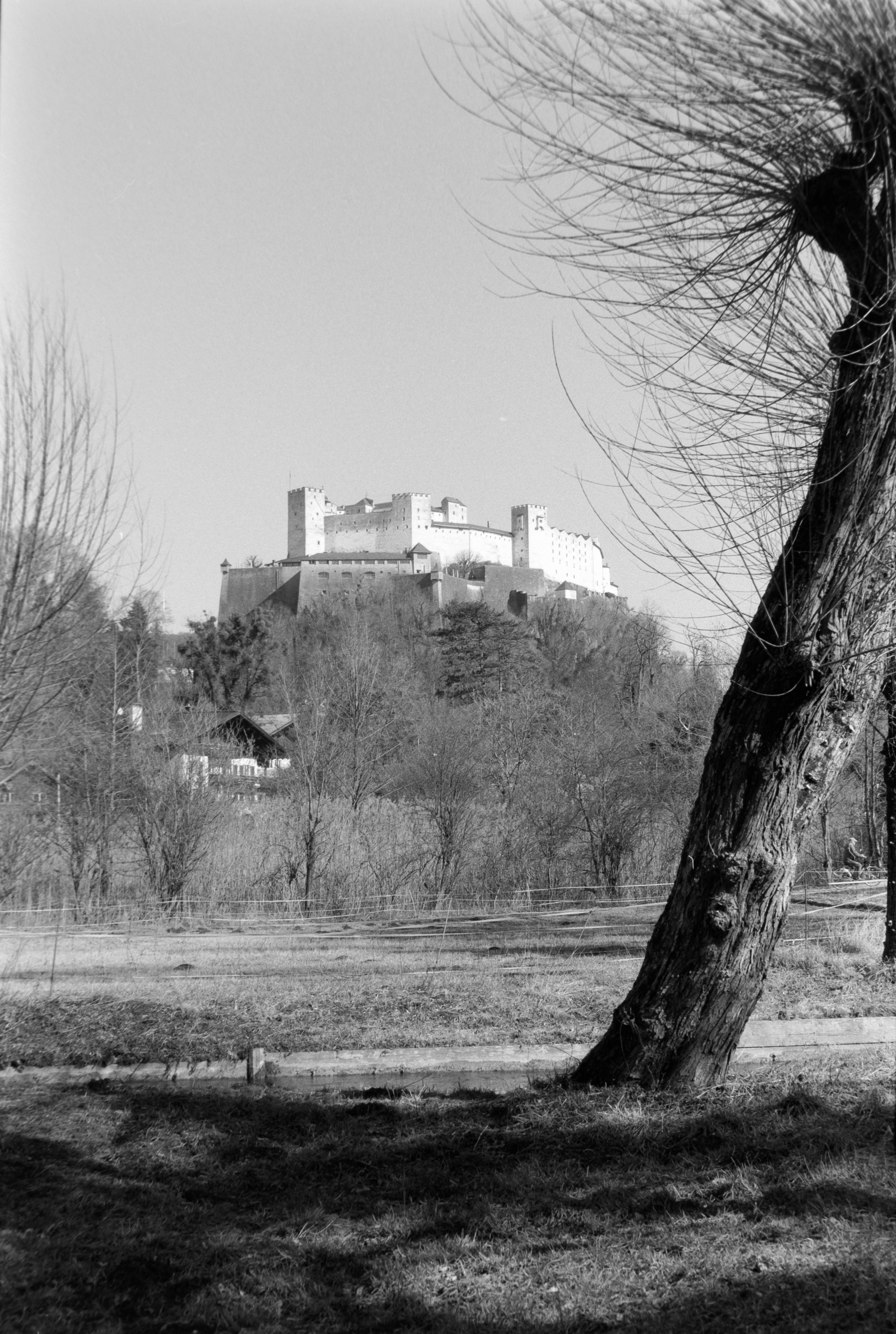 DSCF8138.jpg