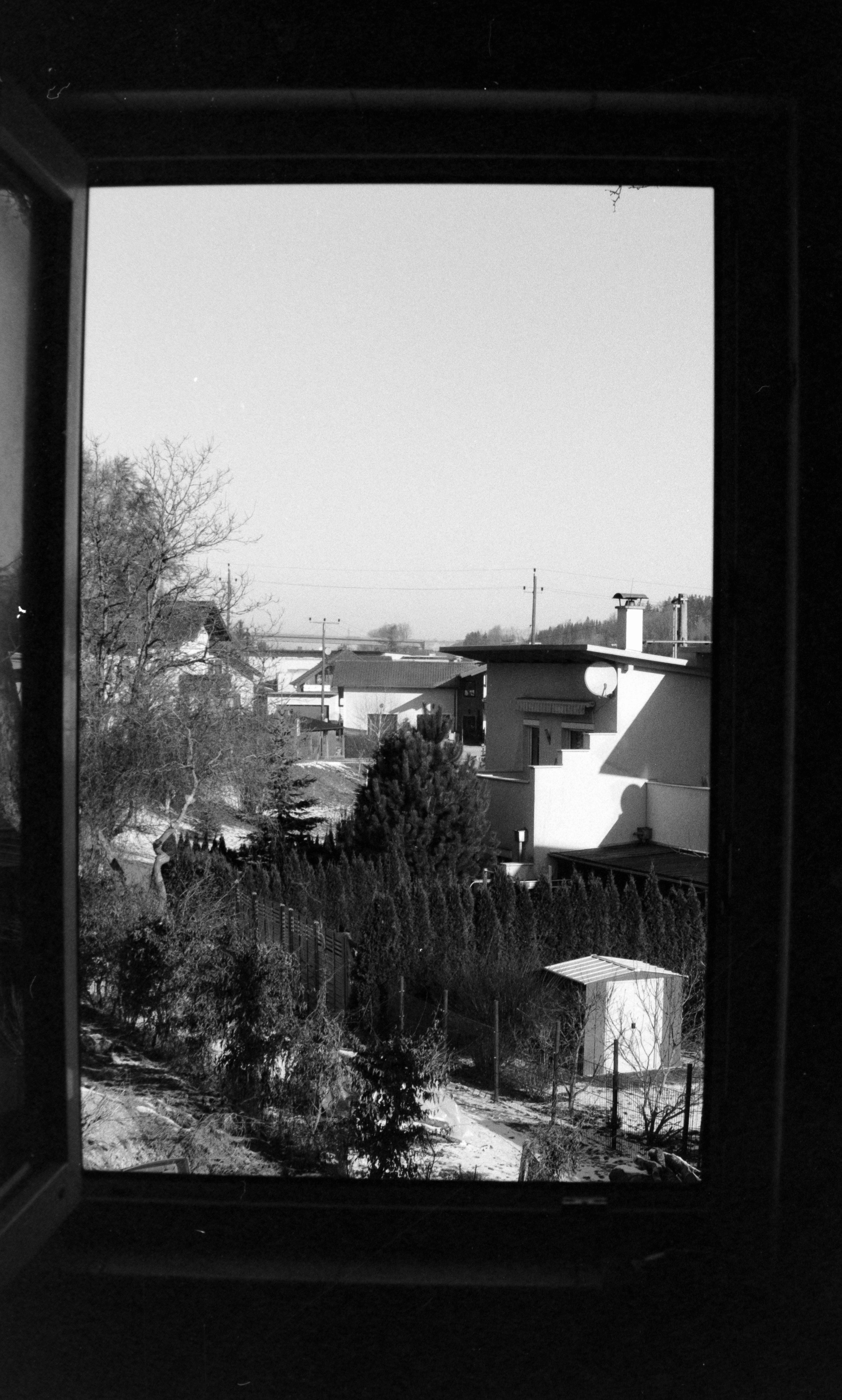 DSCF7800.jpg