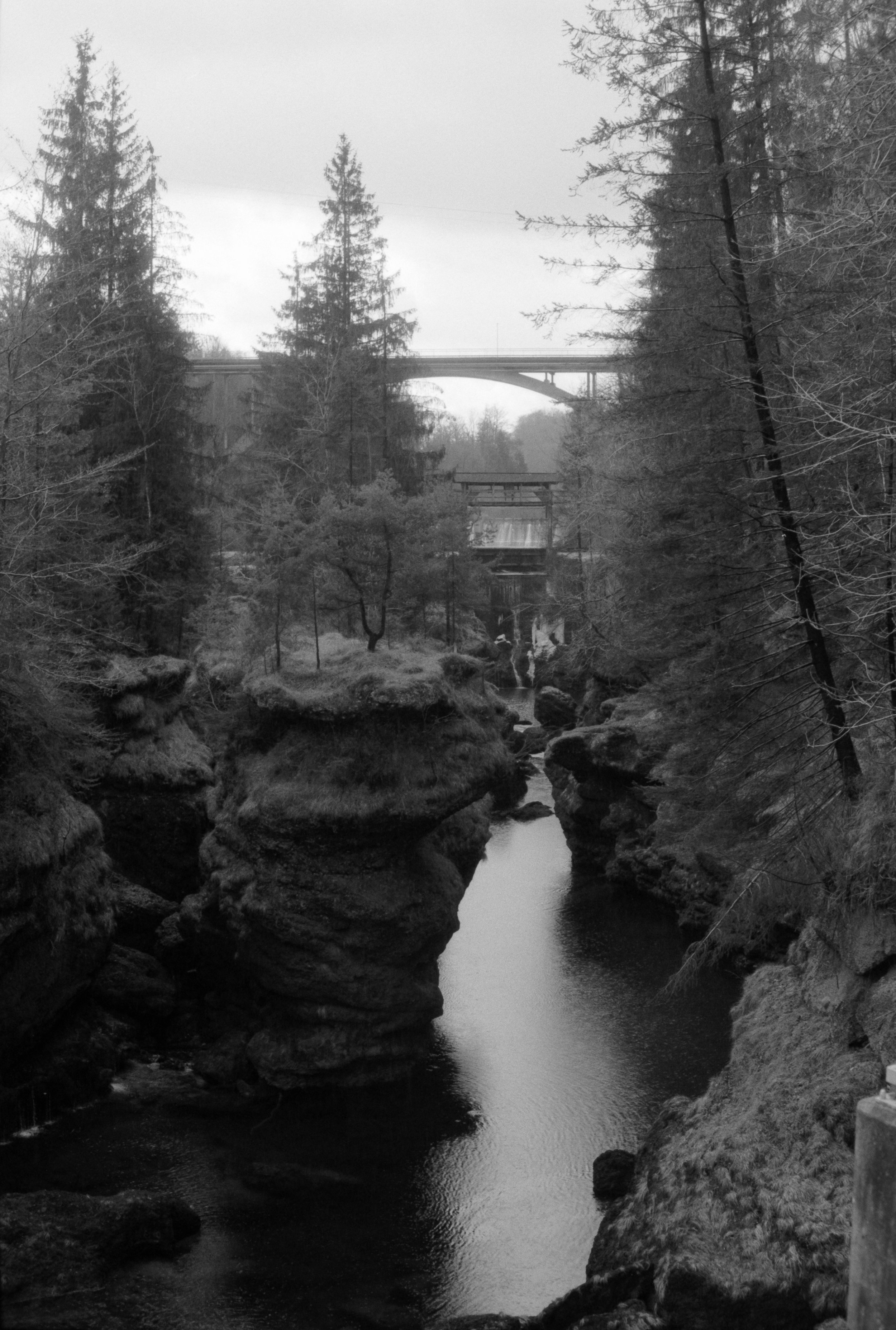 DSCF7834.jpg