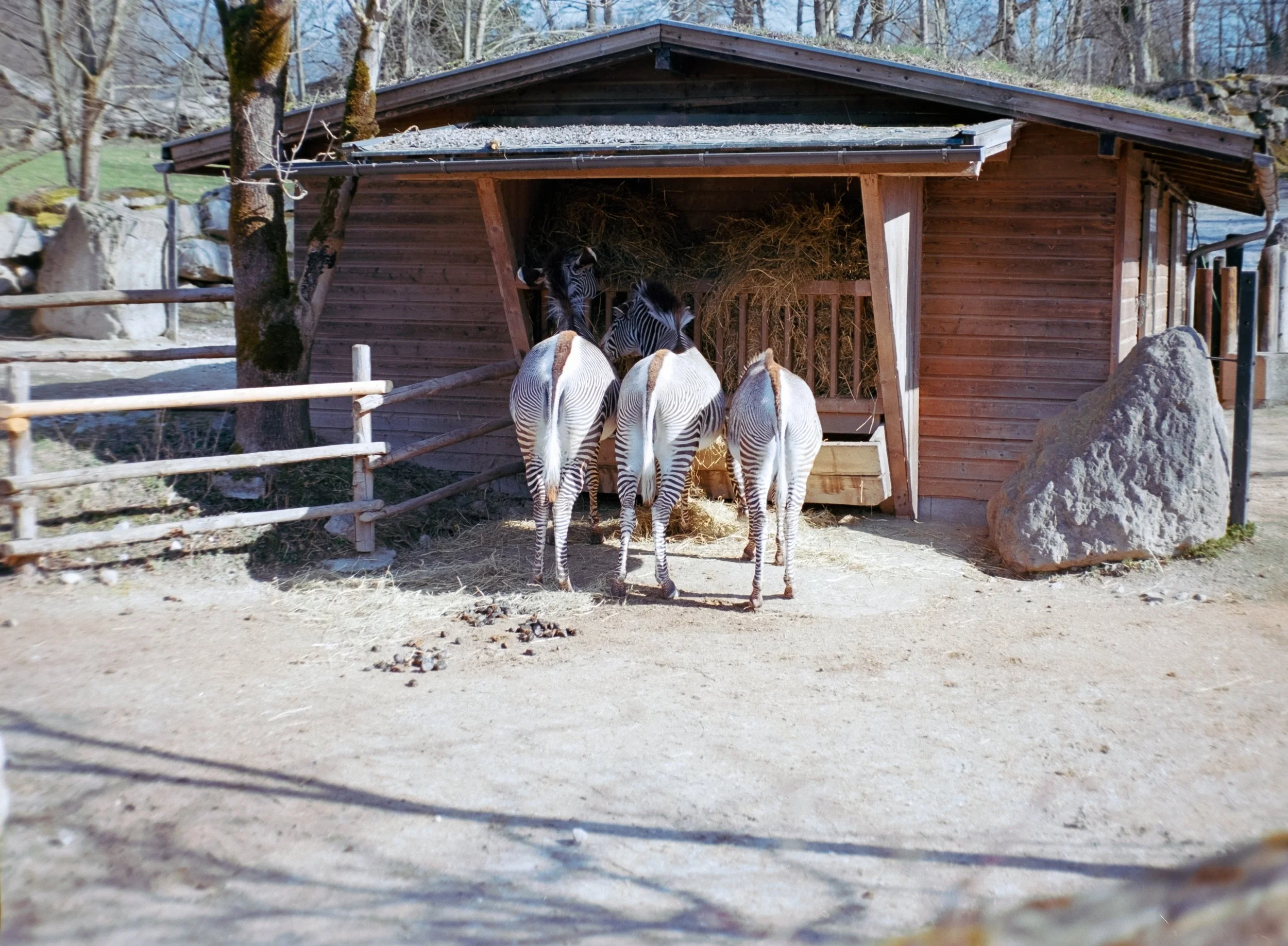 DSCF8088.jpg