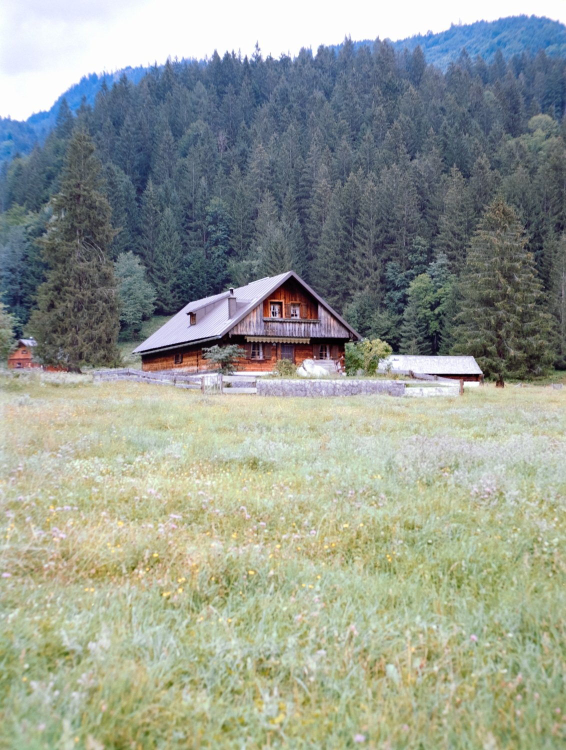 DSCF2054.jpg