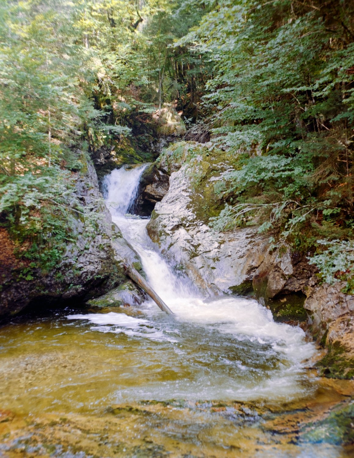DSCF2059.jpg