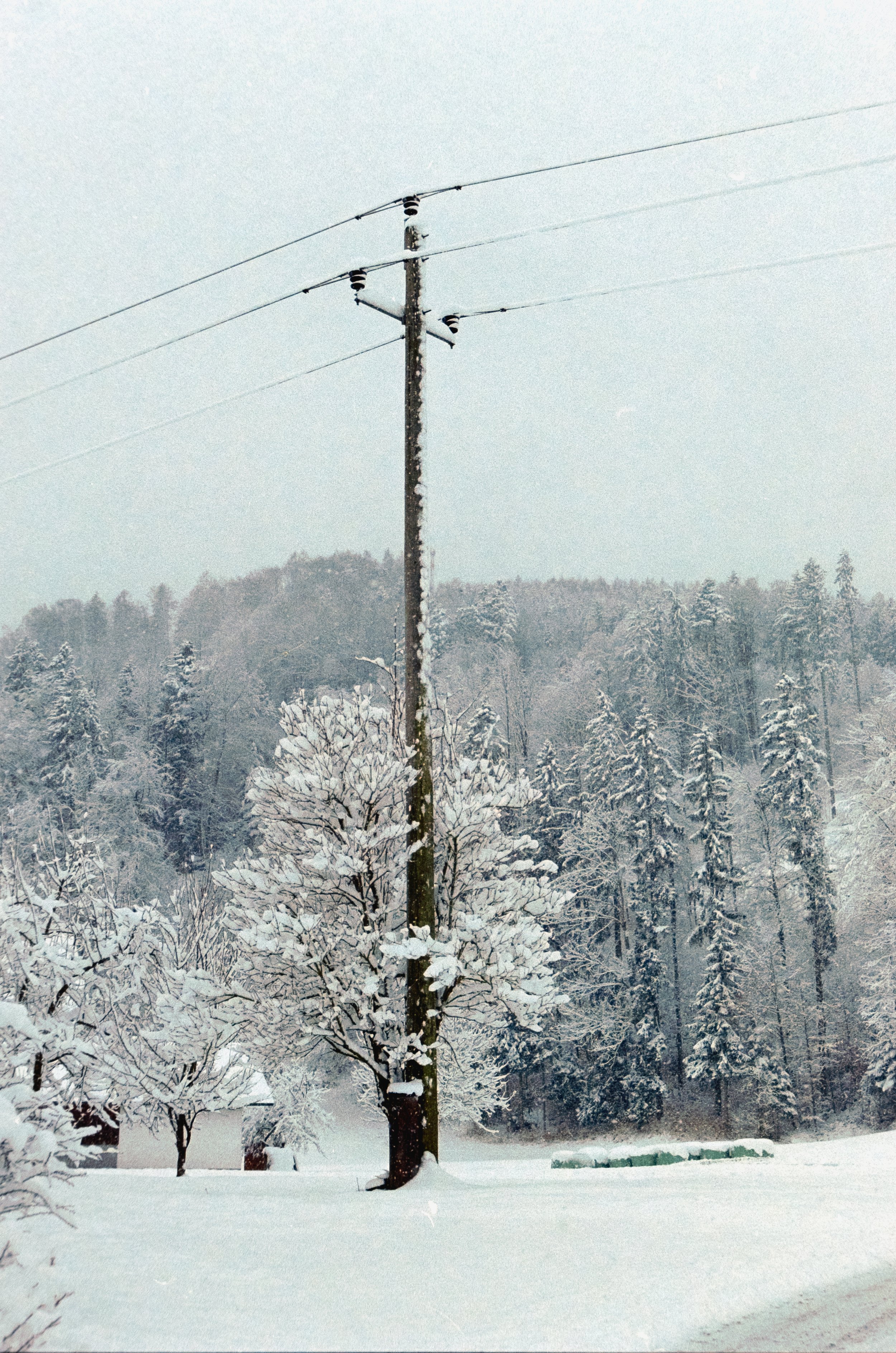 DSCF8664.jpg