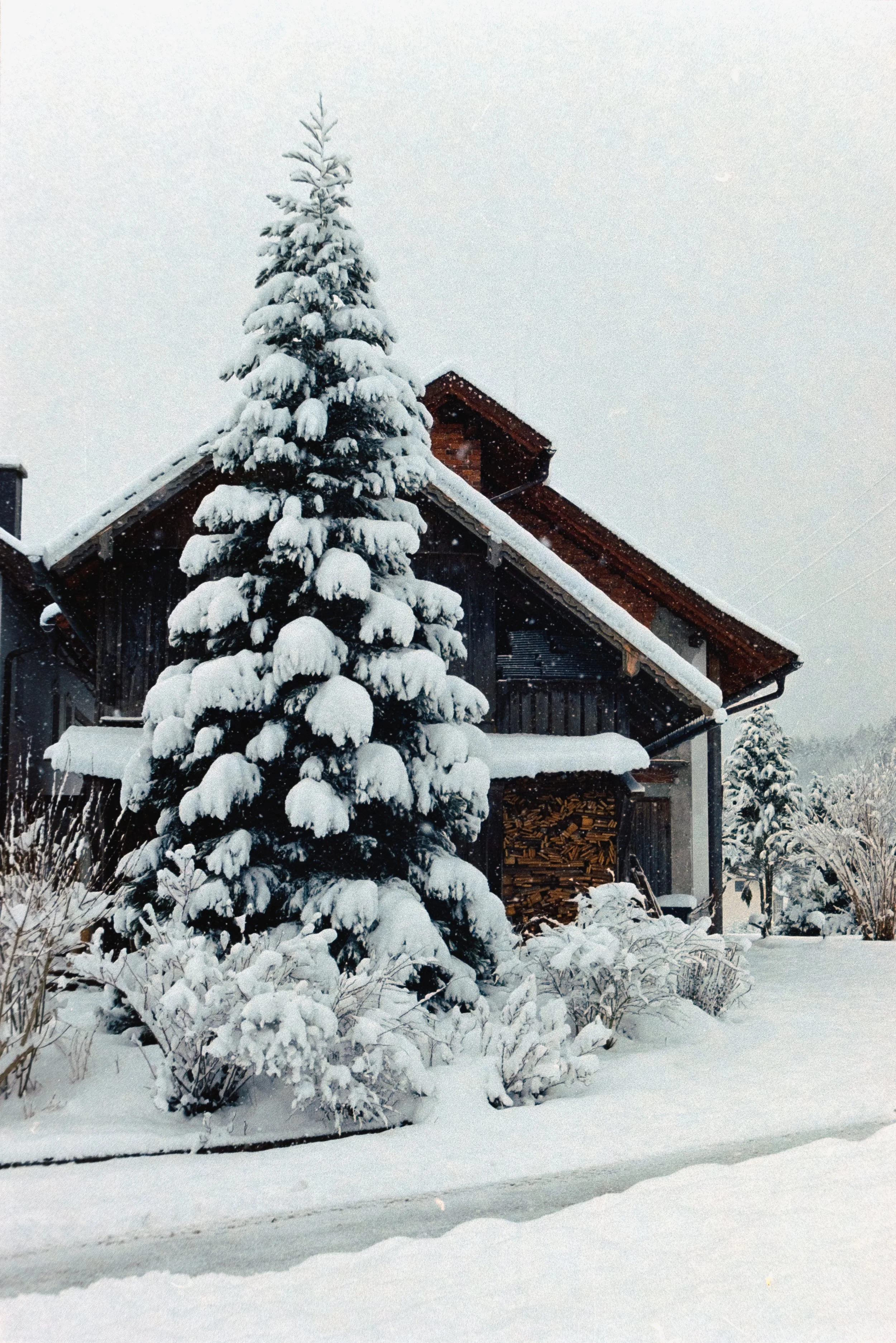 DSCF8665.jpg