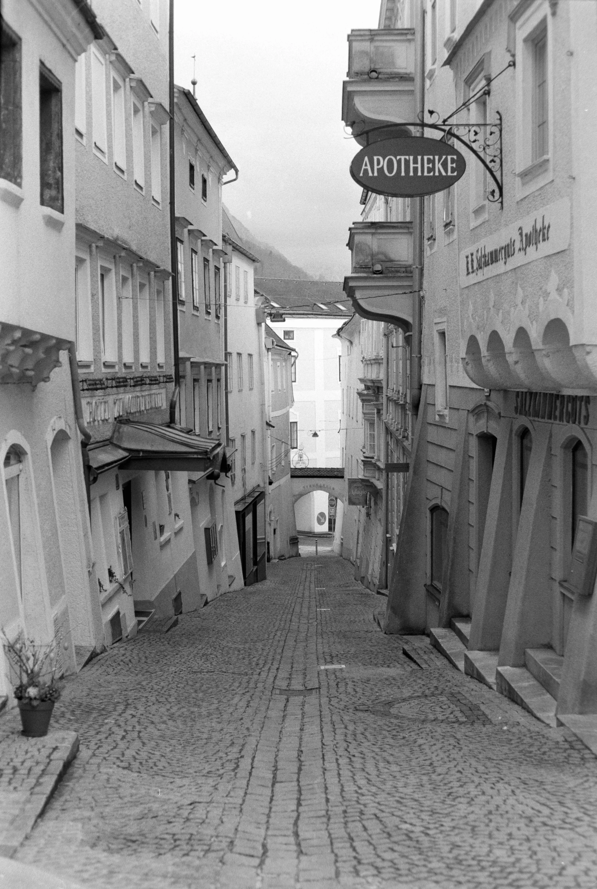 DSCF8641.jpg