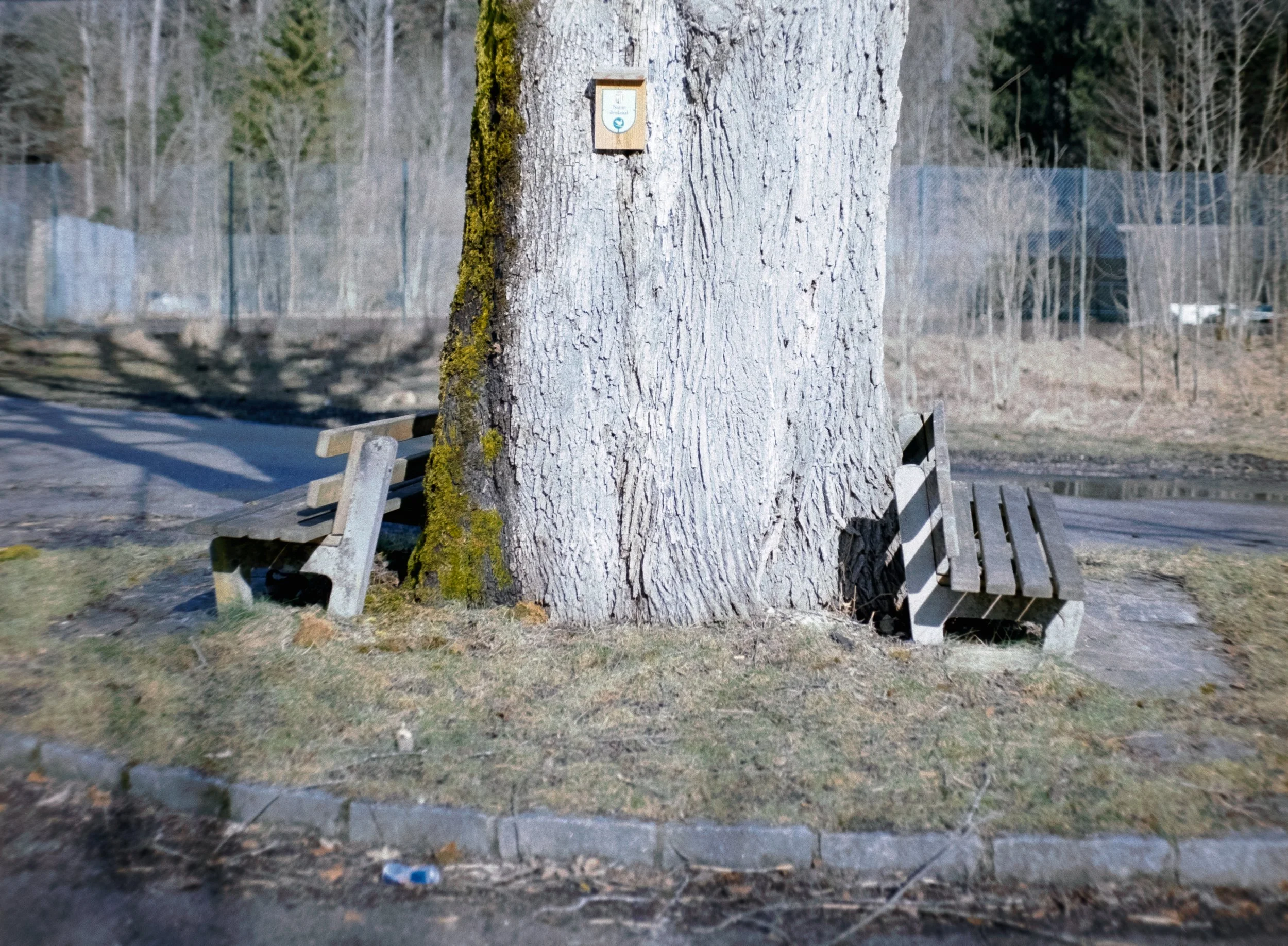 DSCF8001.jpg