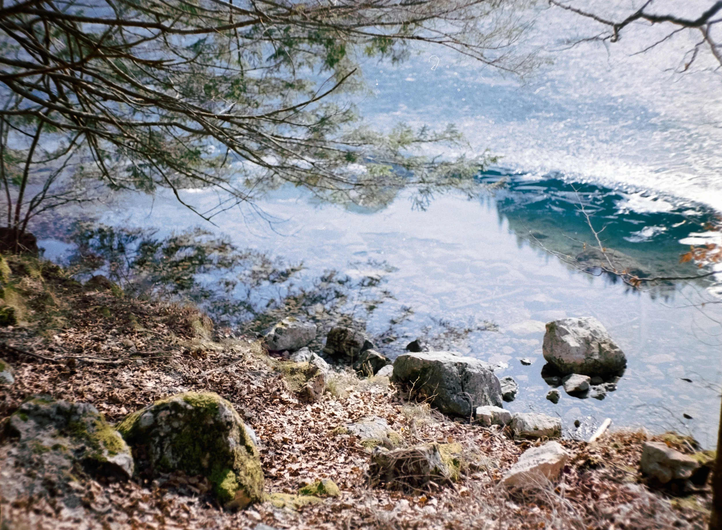 DSCF8007.jpg