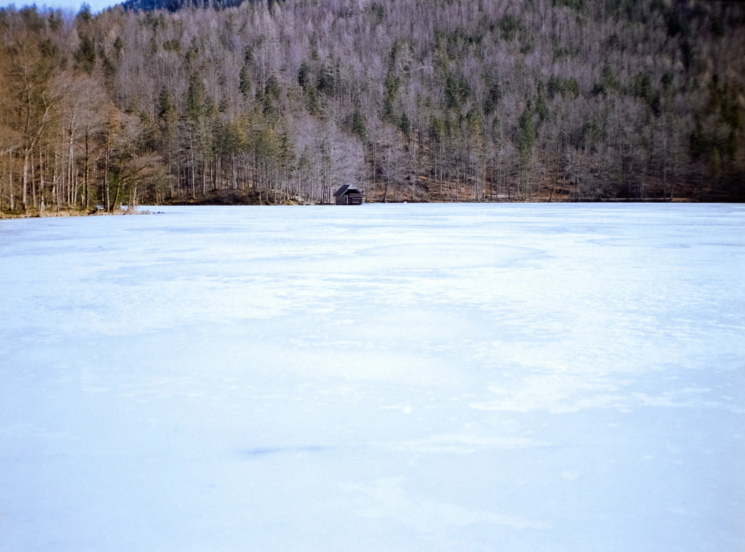 DSCF8017.jpg