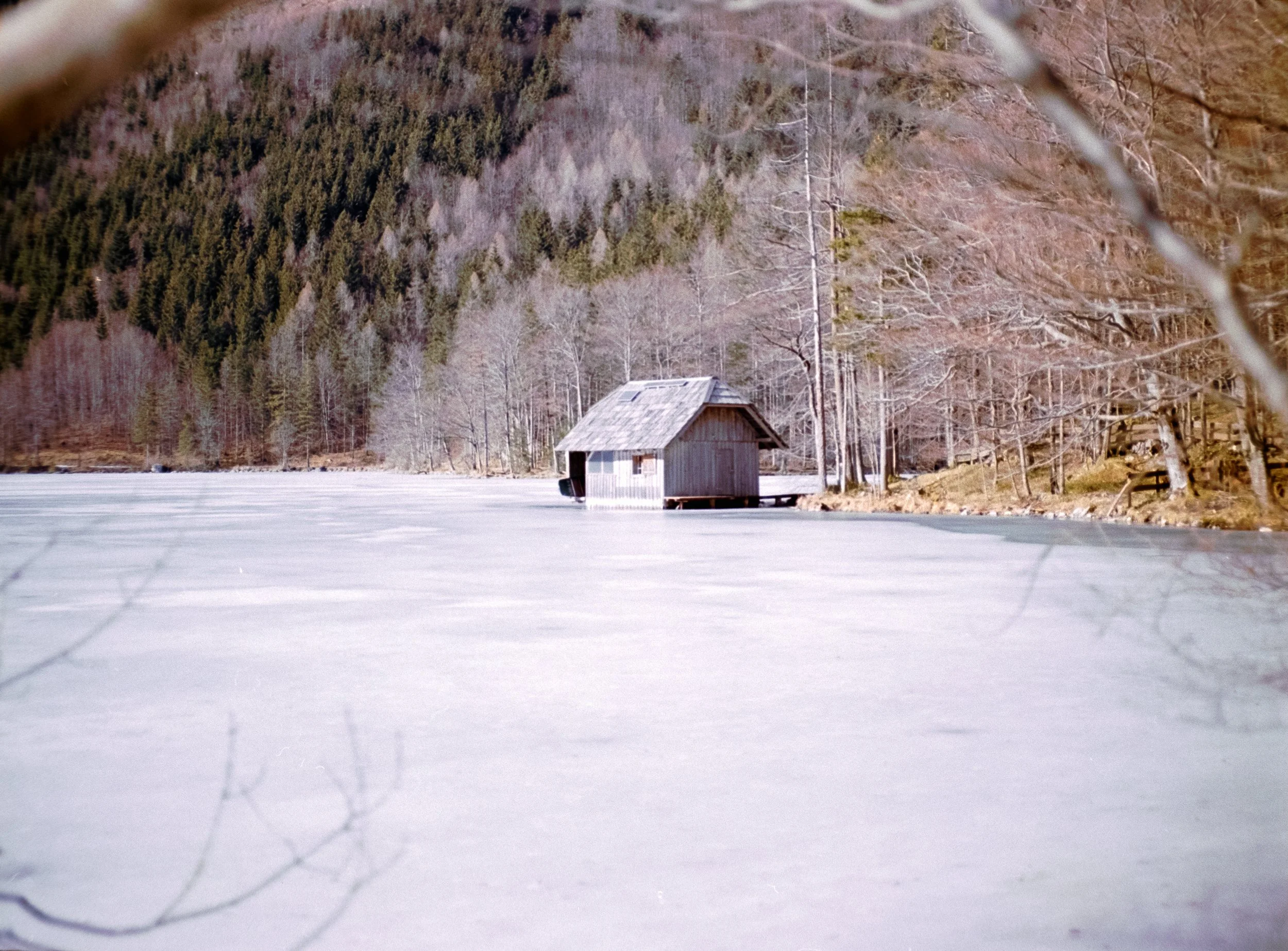 DSCF8022.jpg
