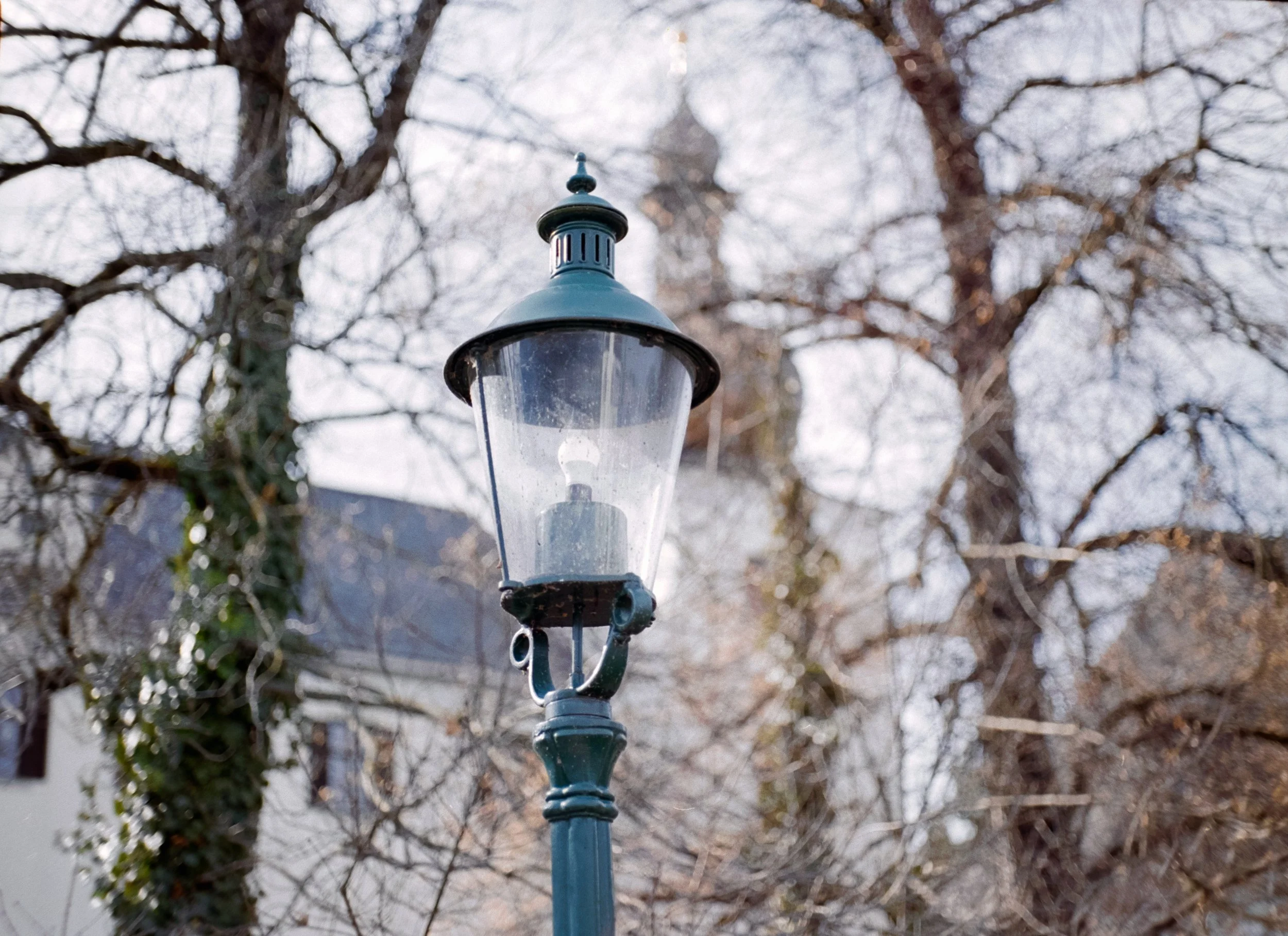 DSCF8030.jpg
