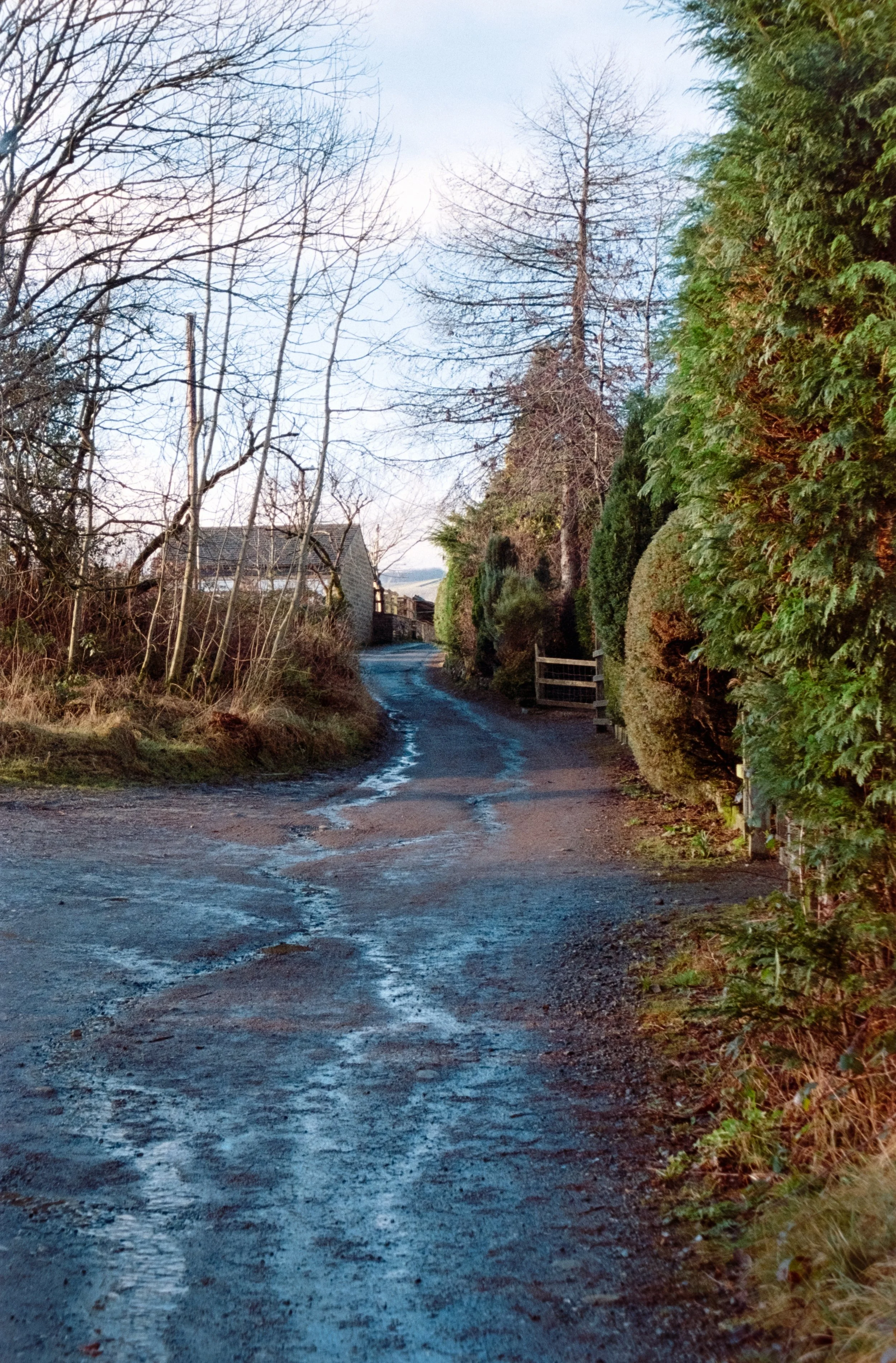 DSCF0811.jpg
