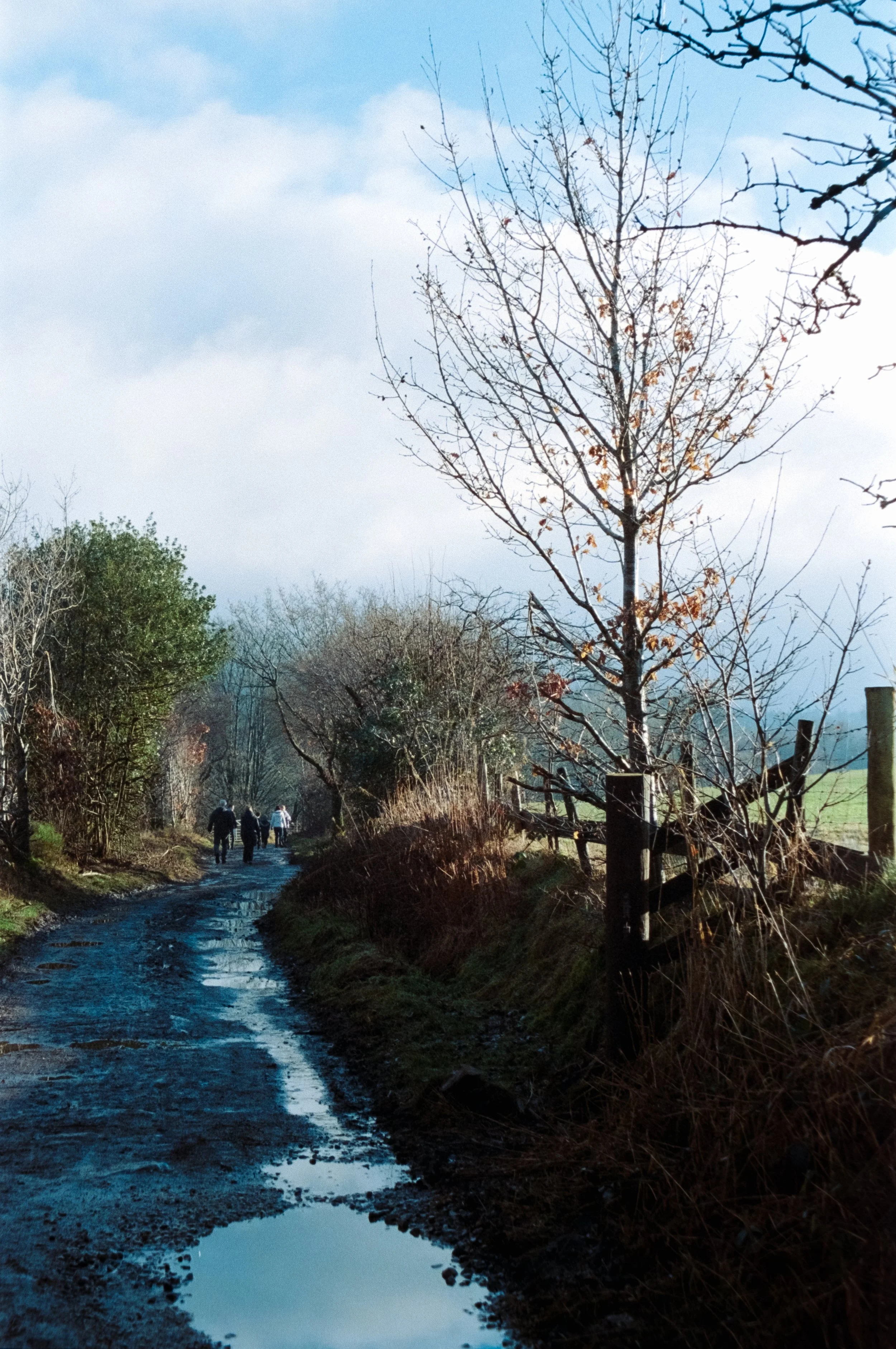 DSCF0813.jpg