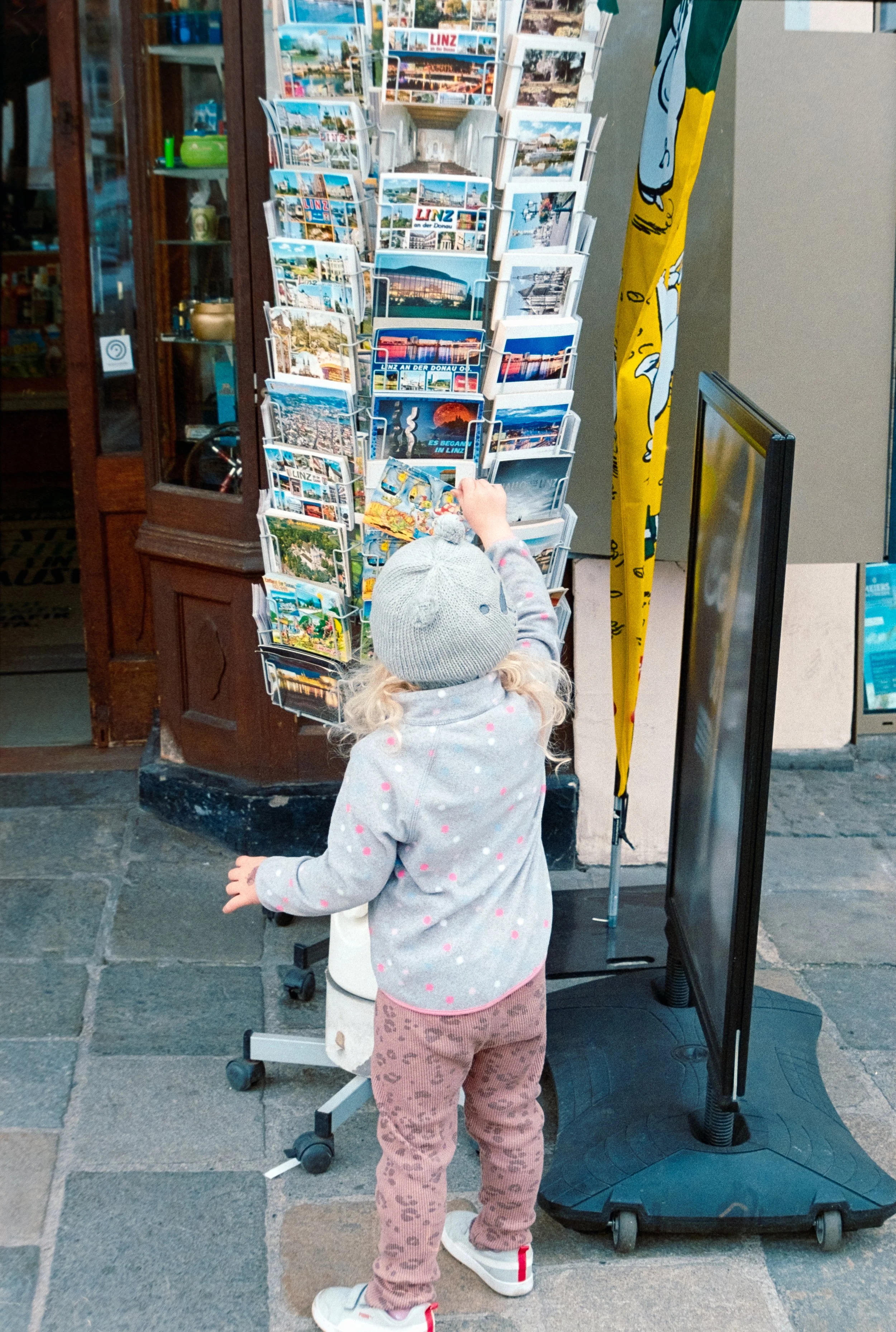 DSCF8713.jpg
