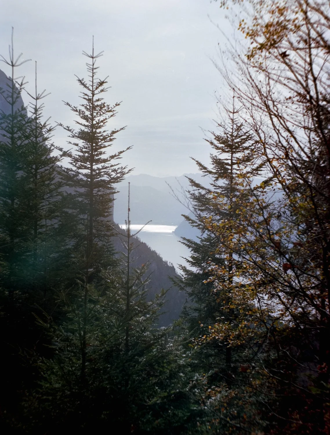 DSCF2229.jpg