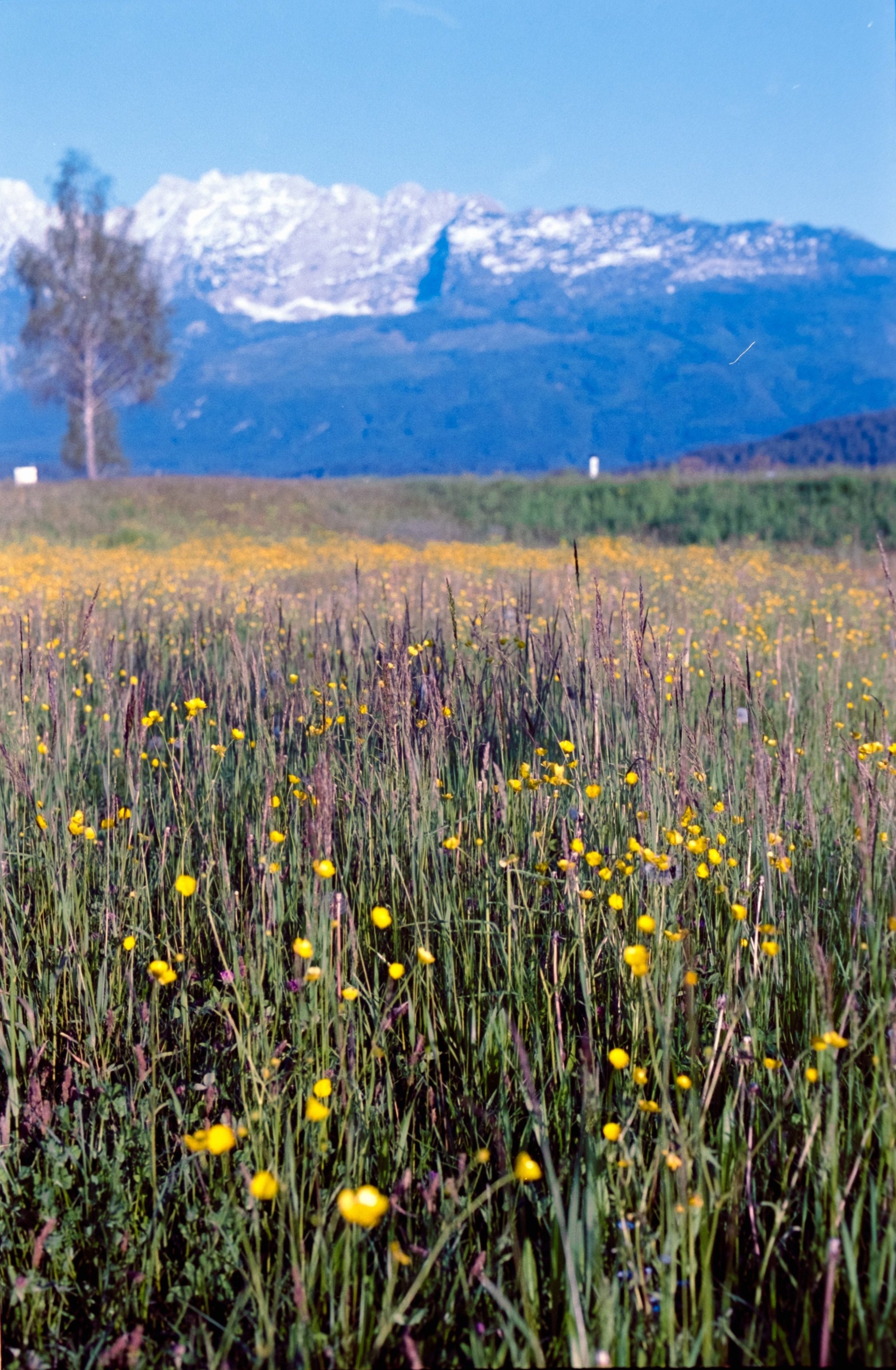 DSCF9270-2.jpg