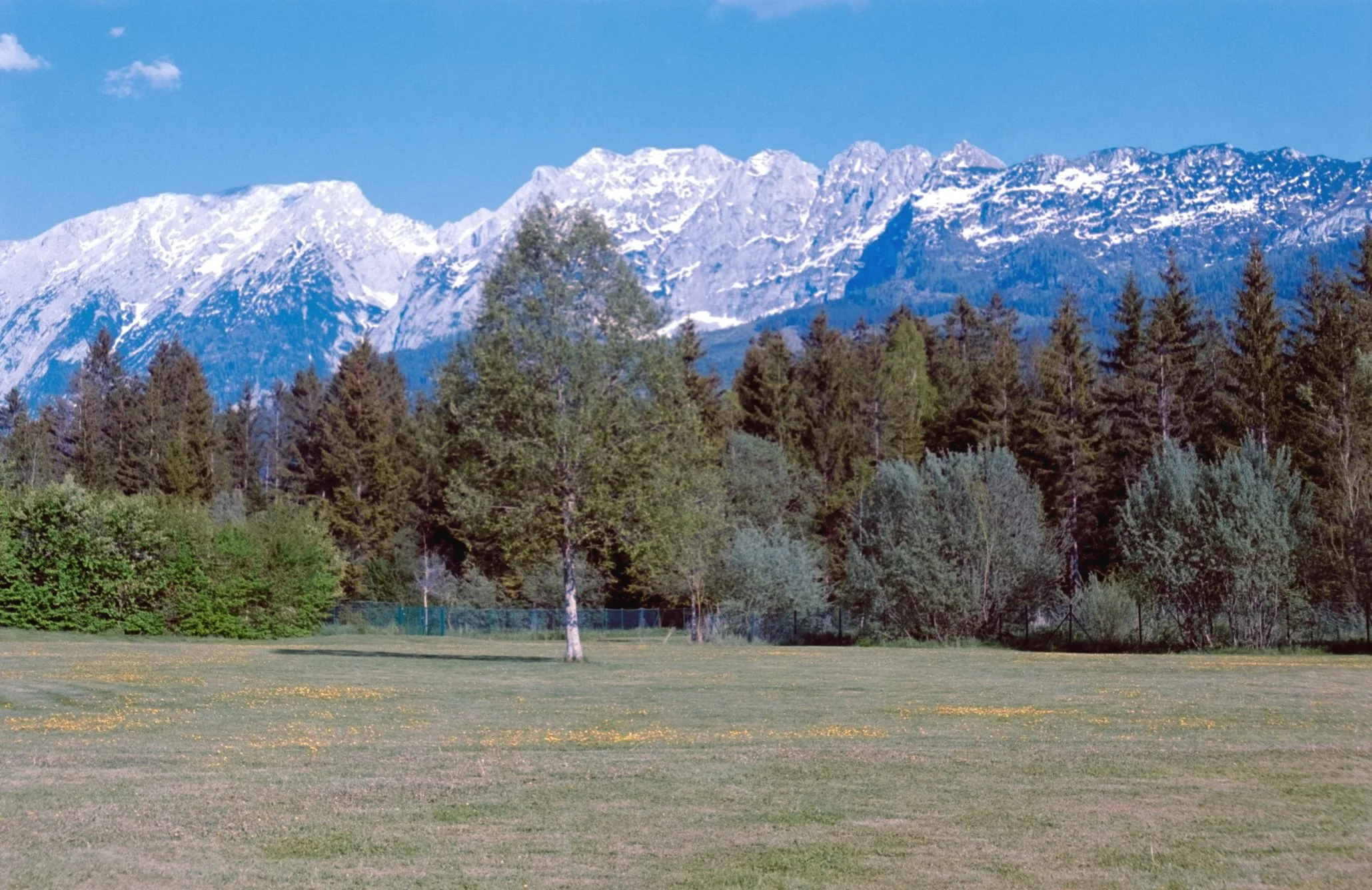 DSCF9283-2.jpg