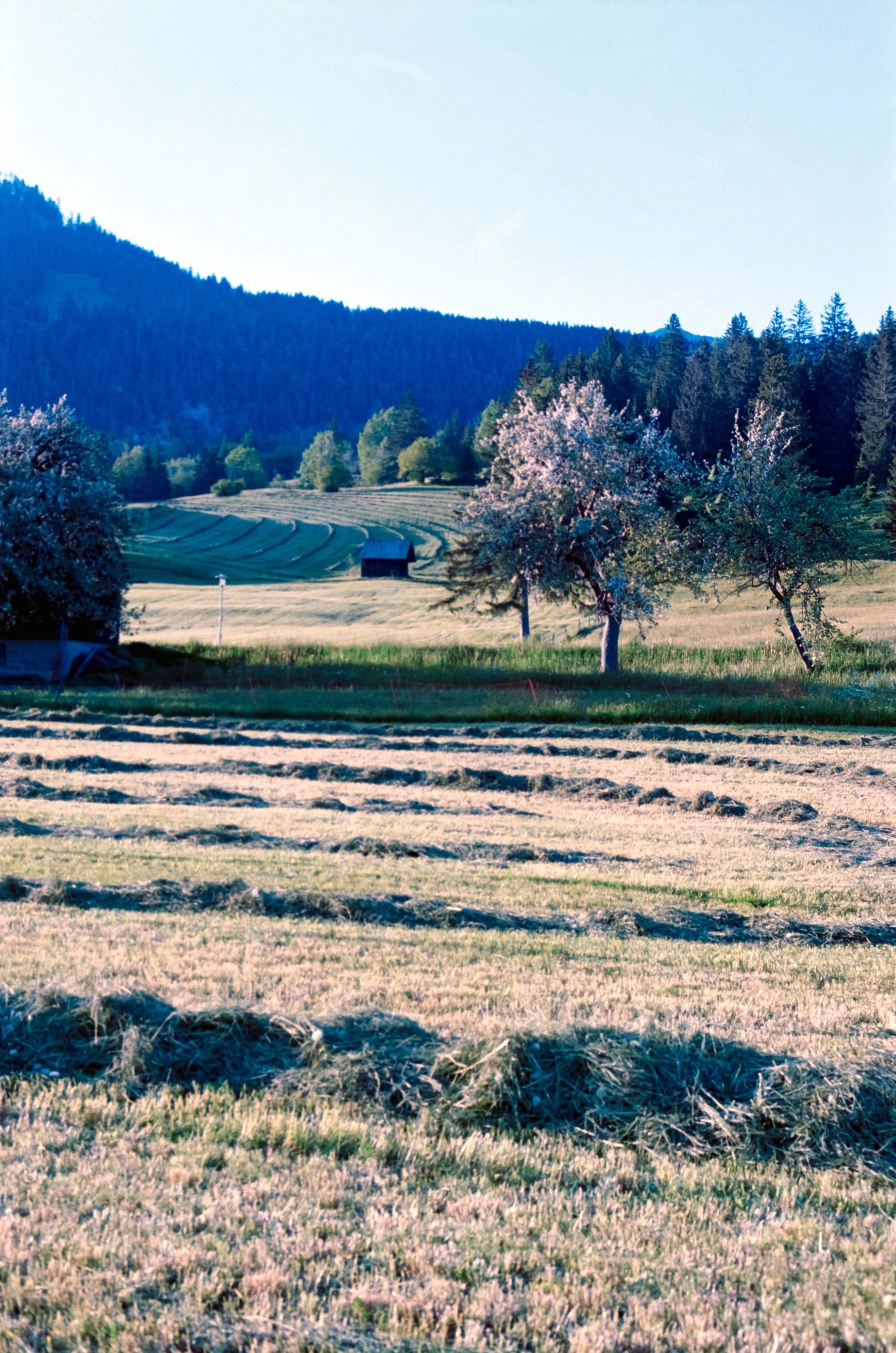 DSCF9281-2.jpg