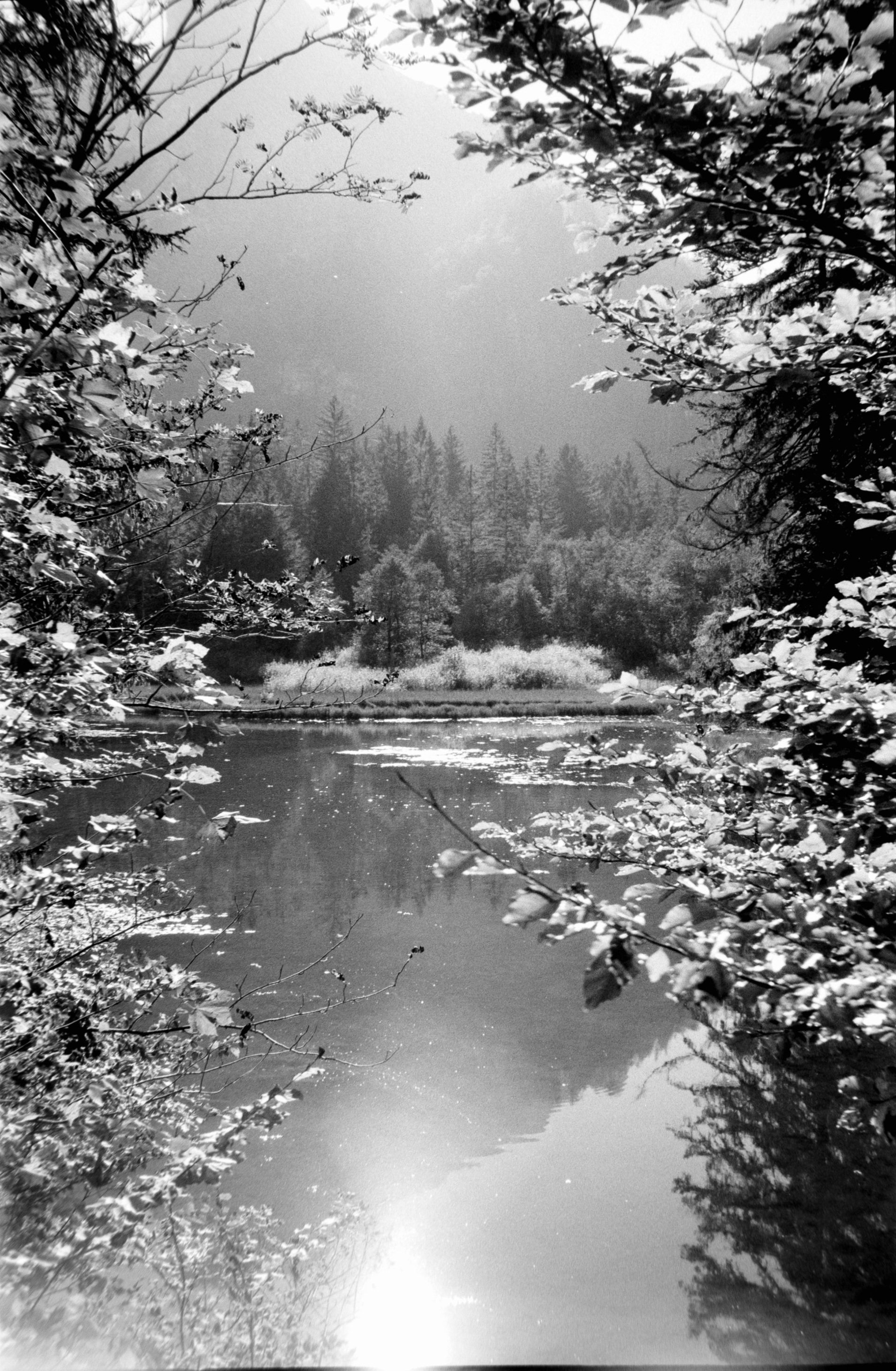 DSCF0393.jpg