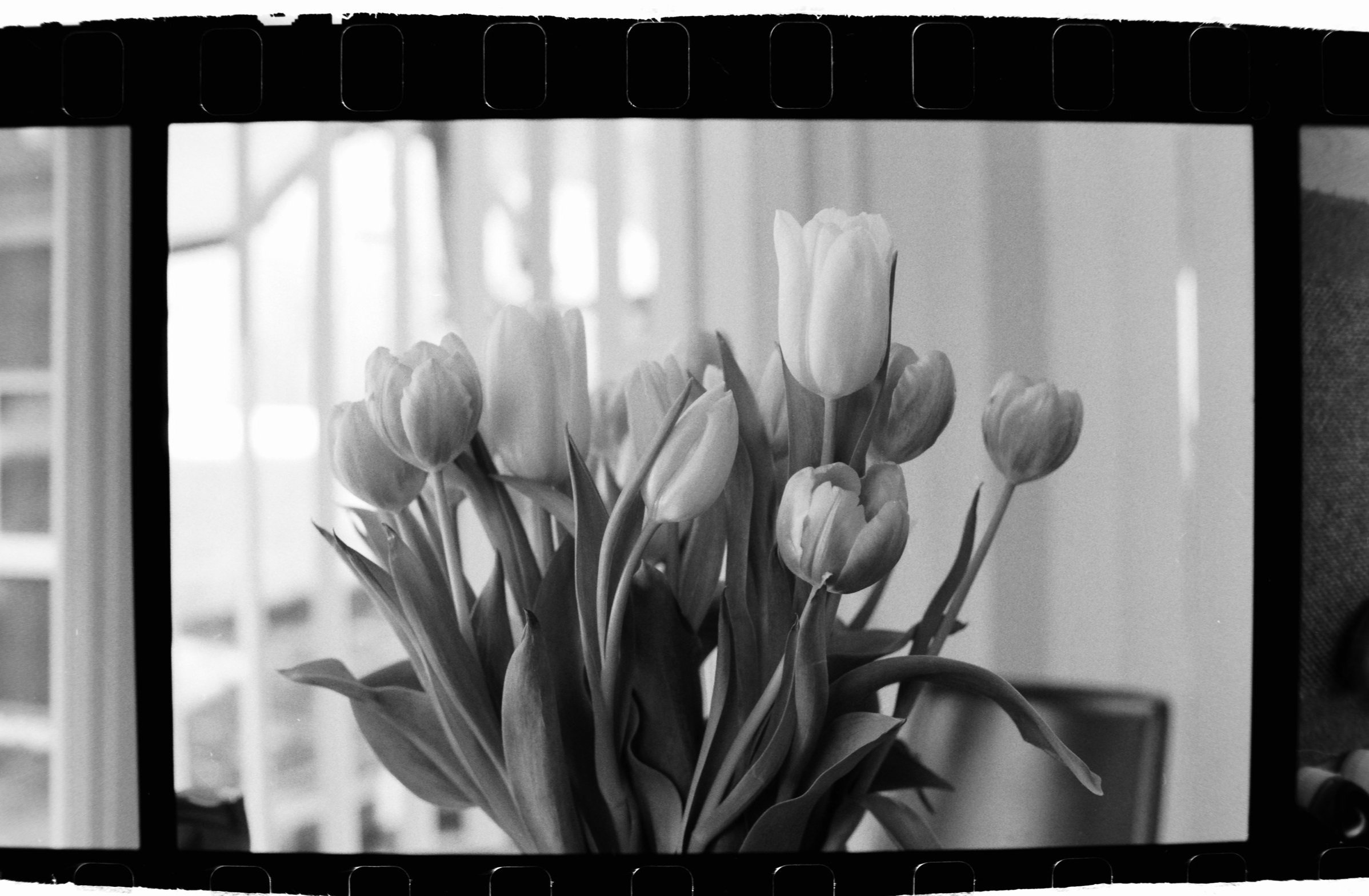 DSCF7756.jpg