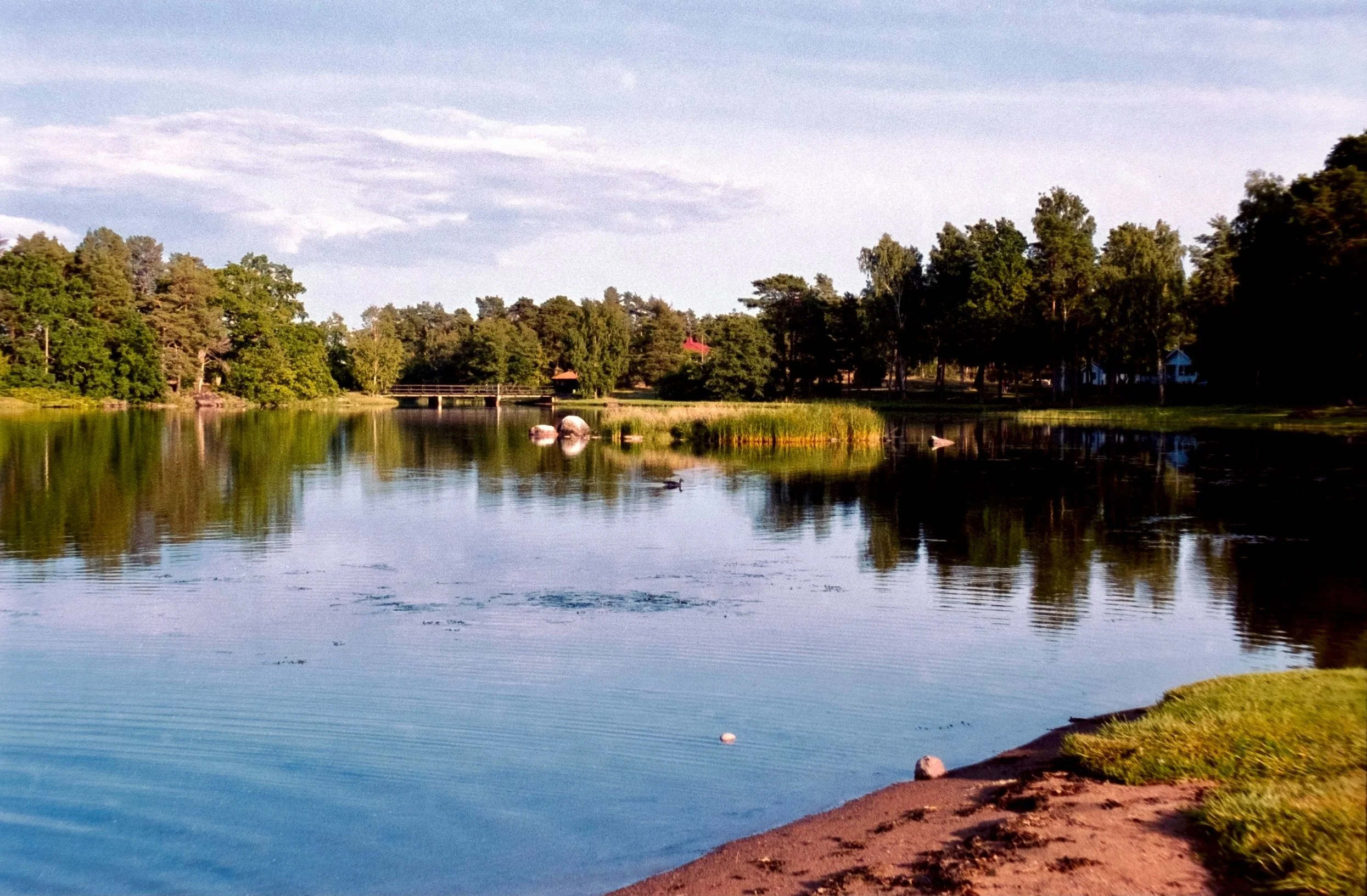 DSCF9903.jpg