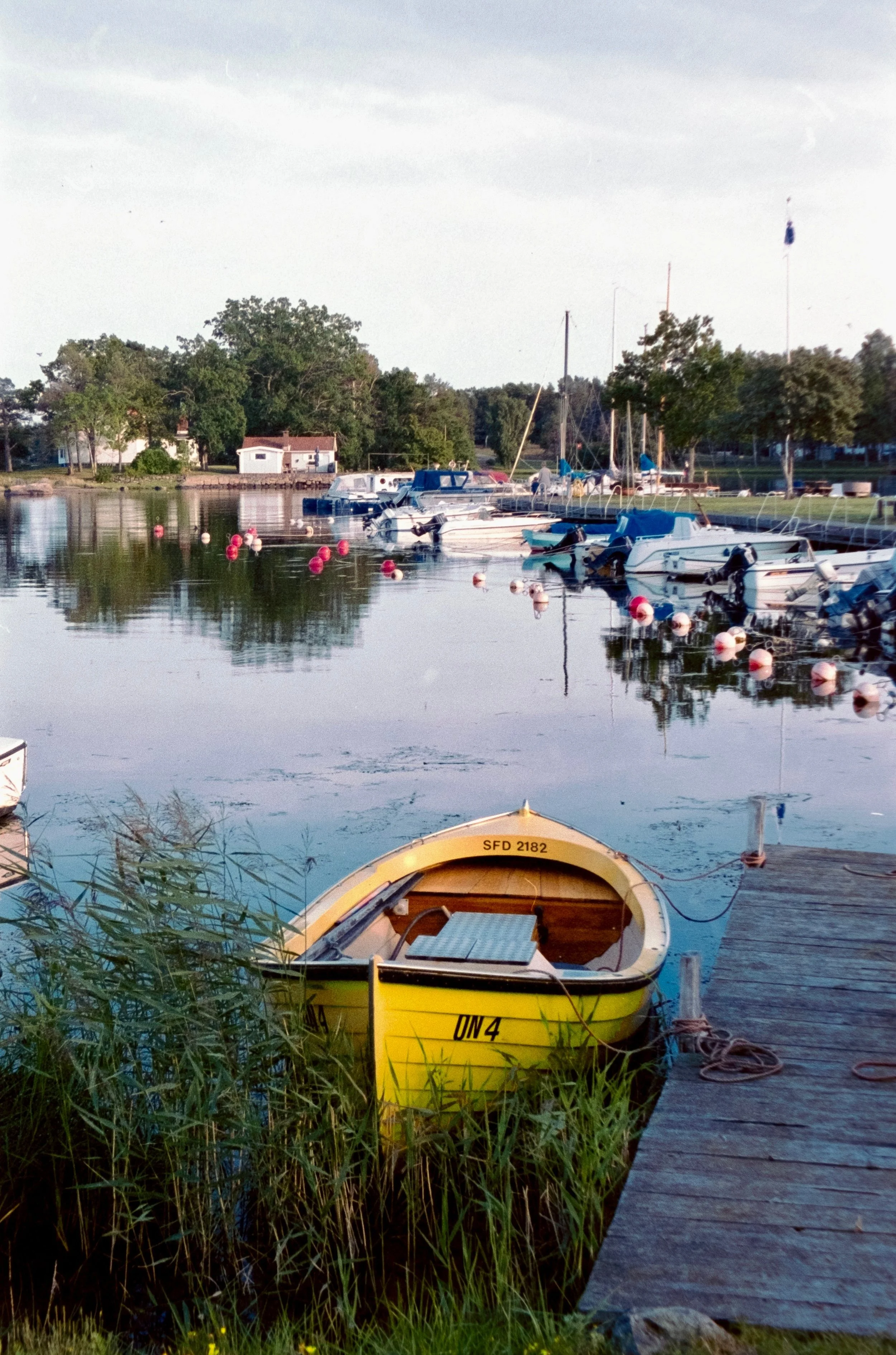 DSCF9882.jpg