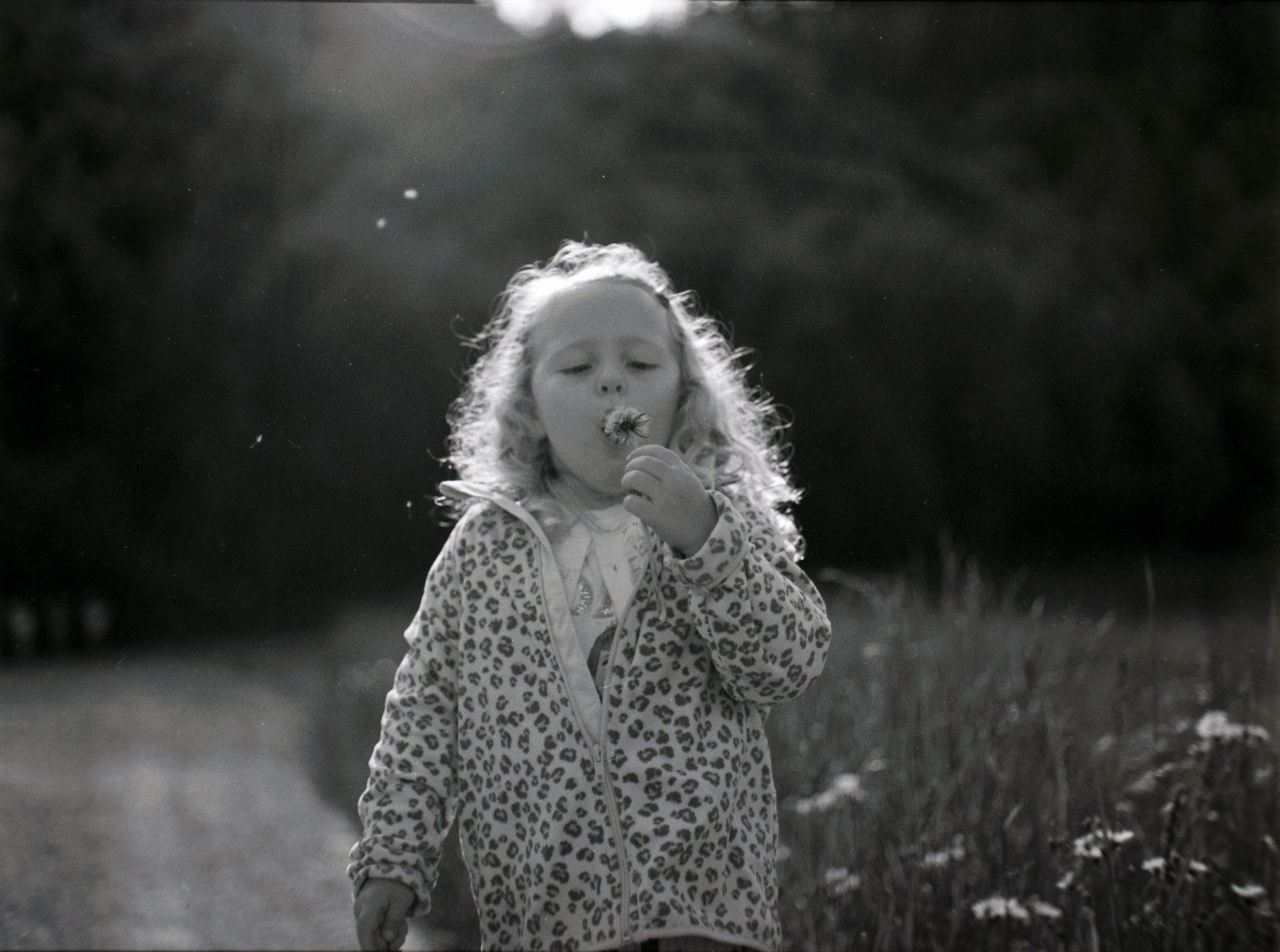 DSCF9319.jpg