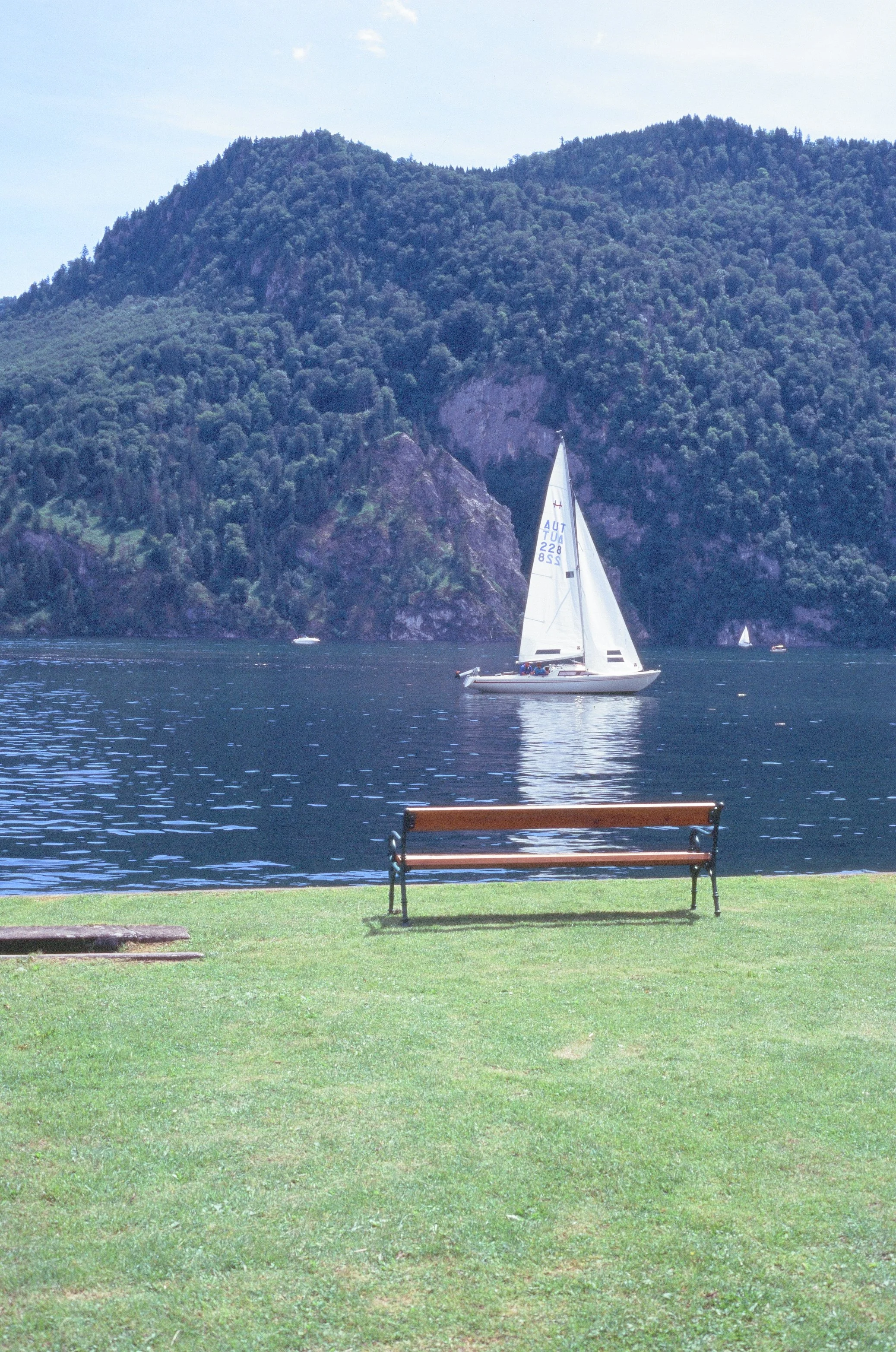 000019740020.jpg