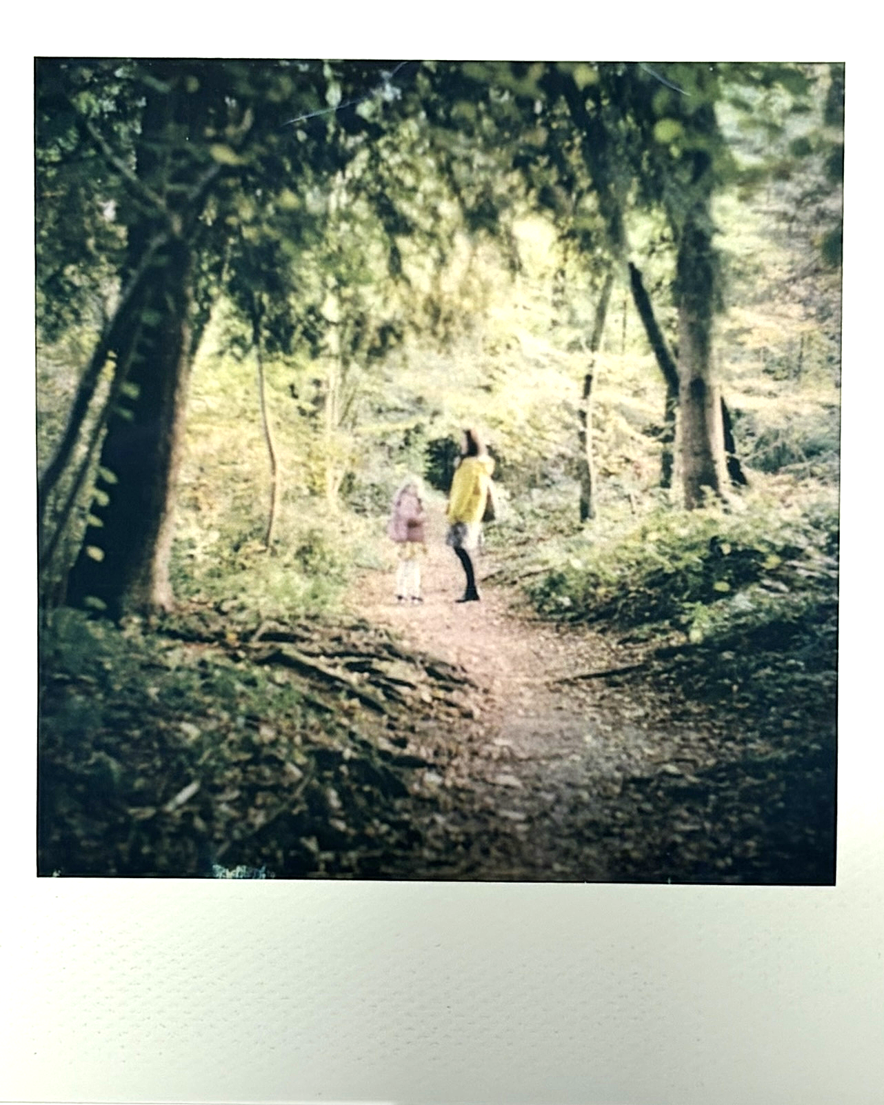 IMG_2274.PNG