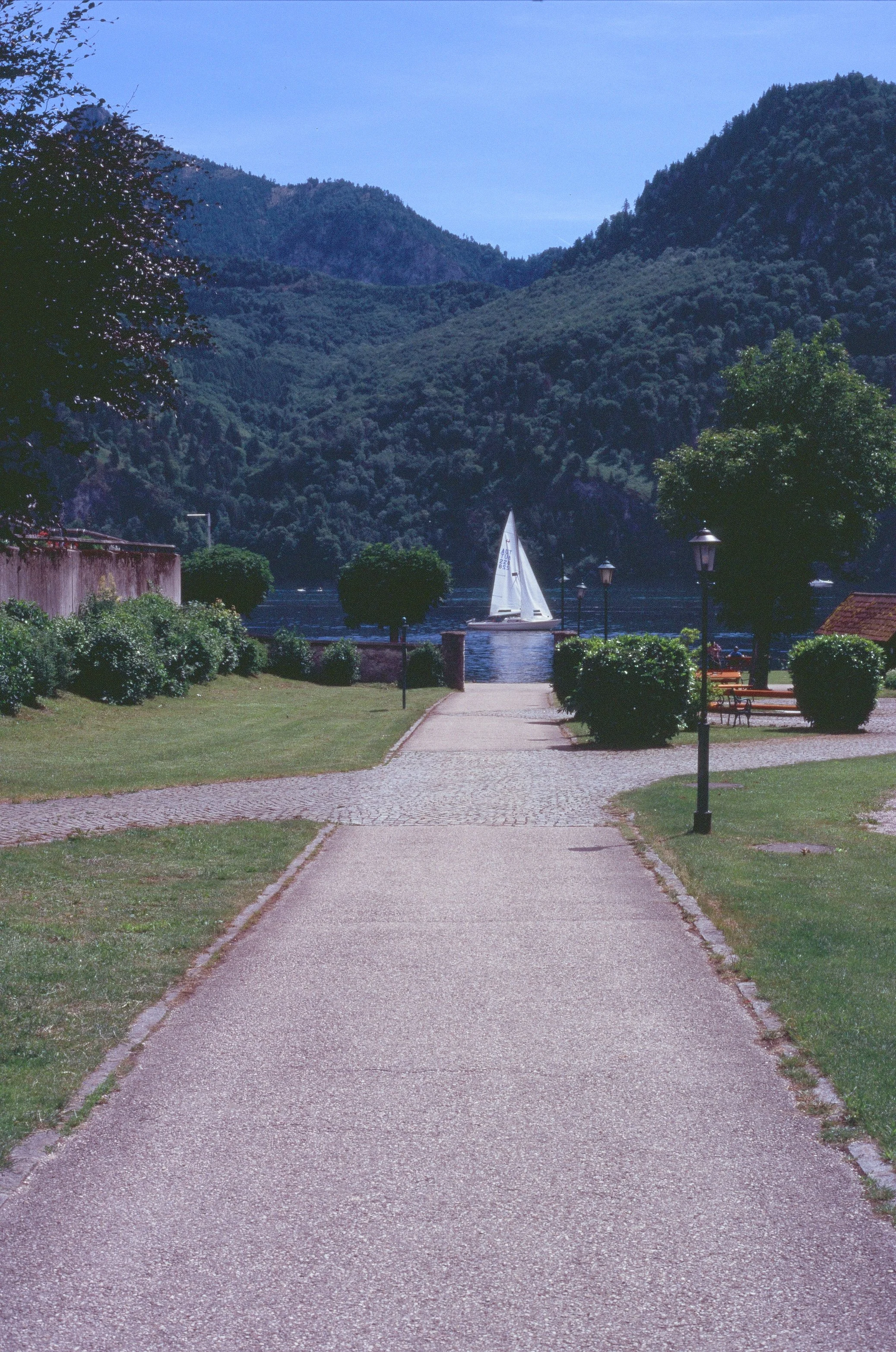 000019740016.jpg