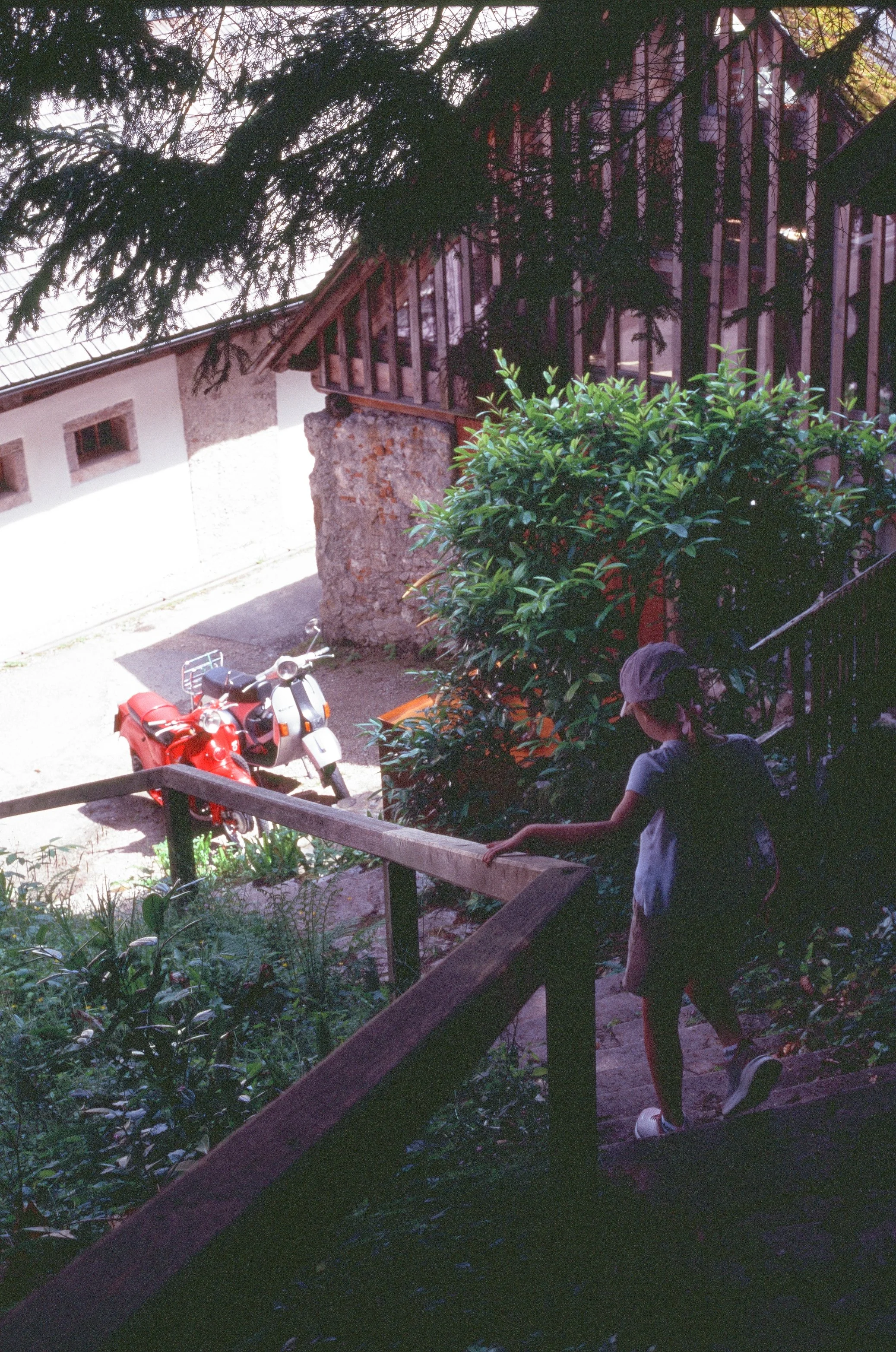 000019740034.jpg