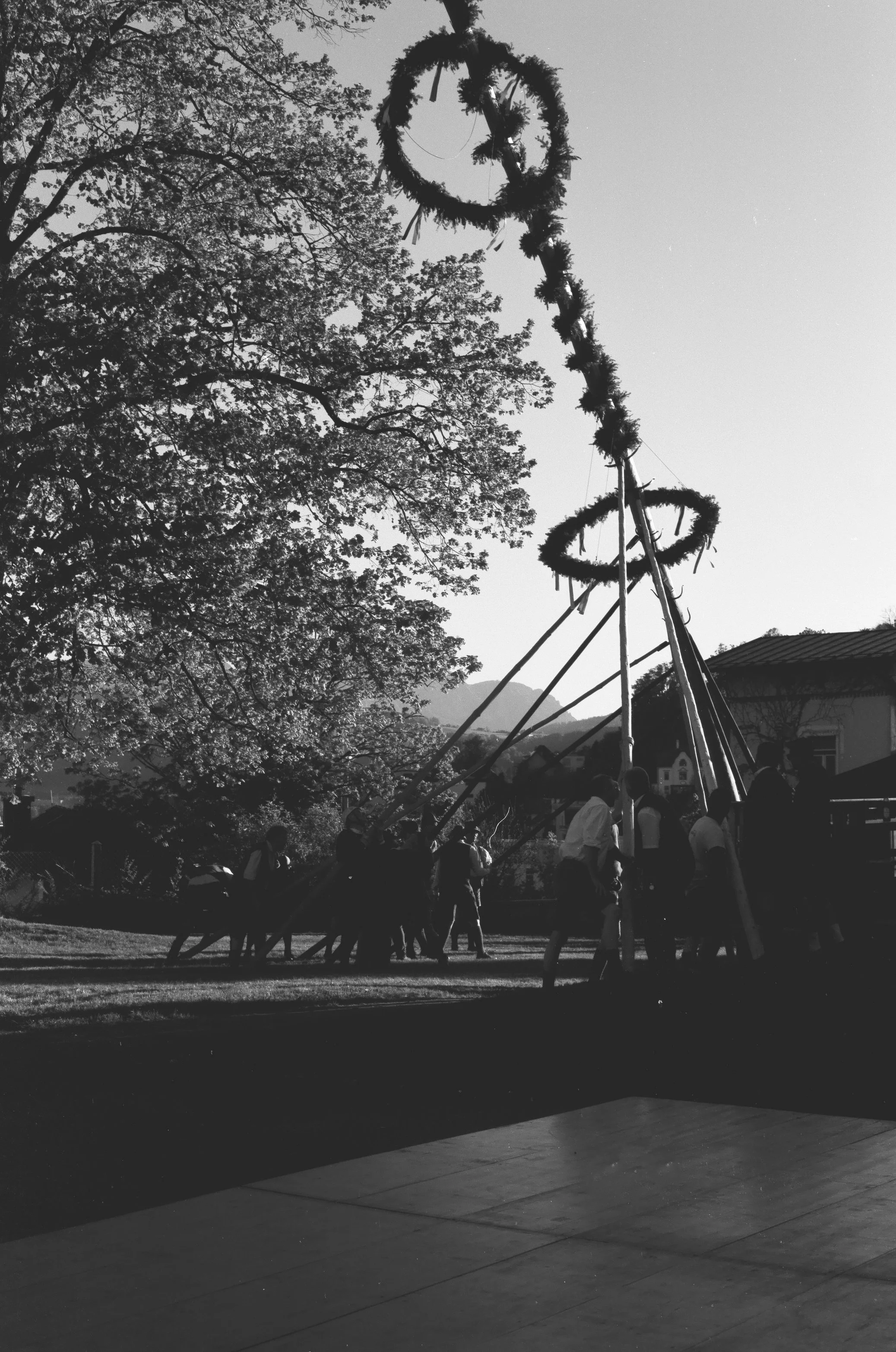 000004020033.jpg