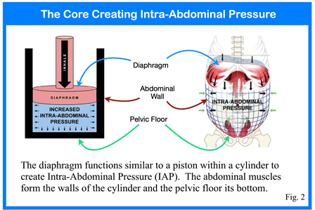 Intra-abdominal pressure control in healthy subjects and those with