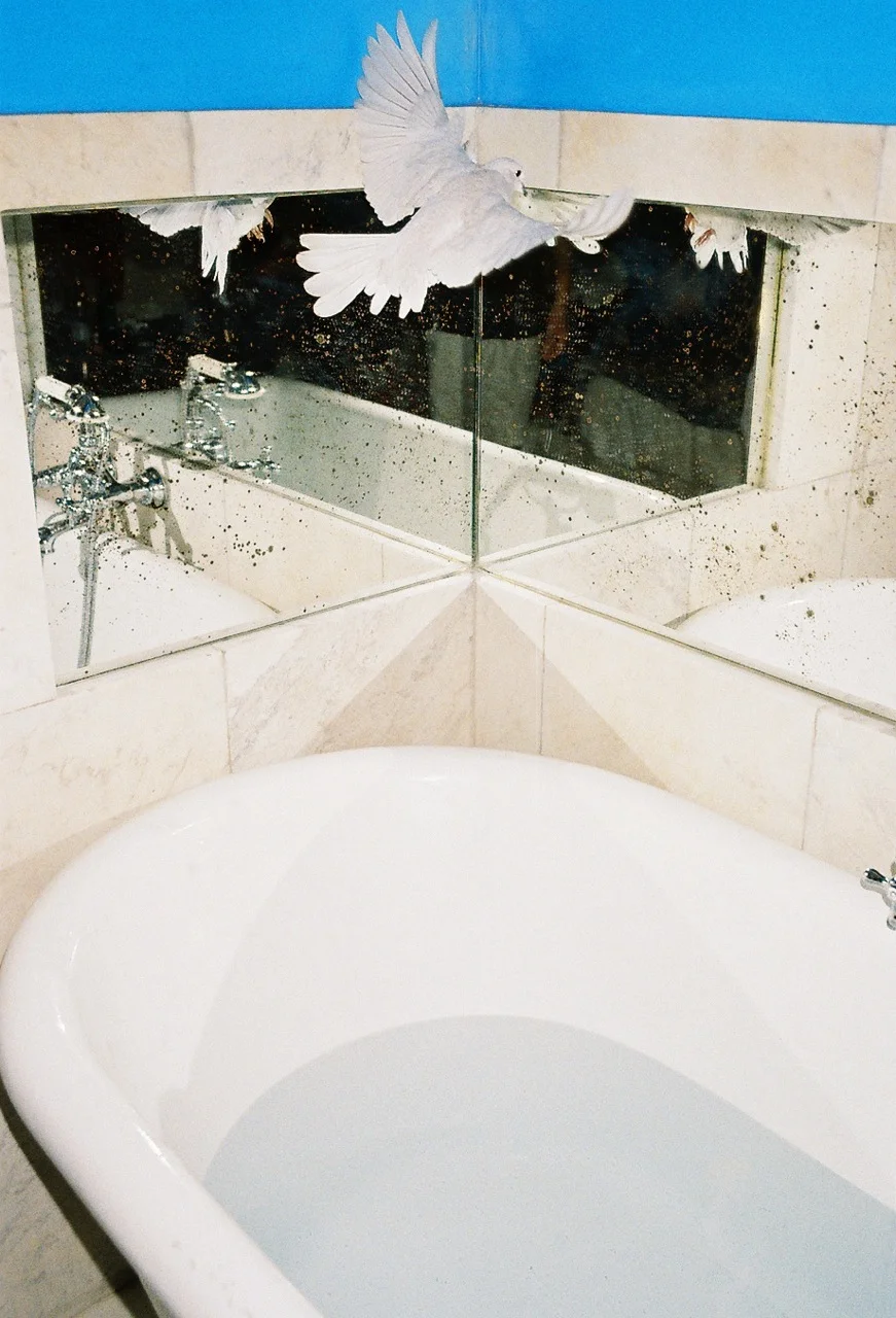 Lin Zhipeng aka 223 Grand Amour, White Dove Archival pigment print Edition of 10 50 x 33 cm / 19.7 x 13 in $ 1,600