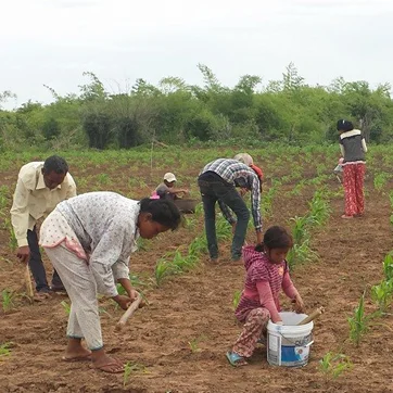 Crop seeds and tools for families in a romote village