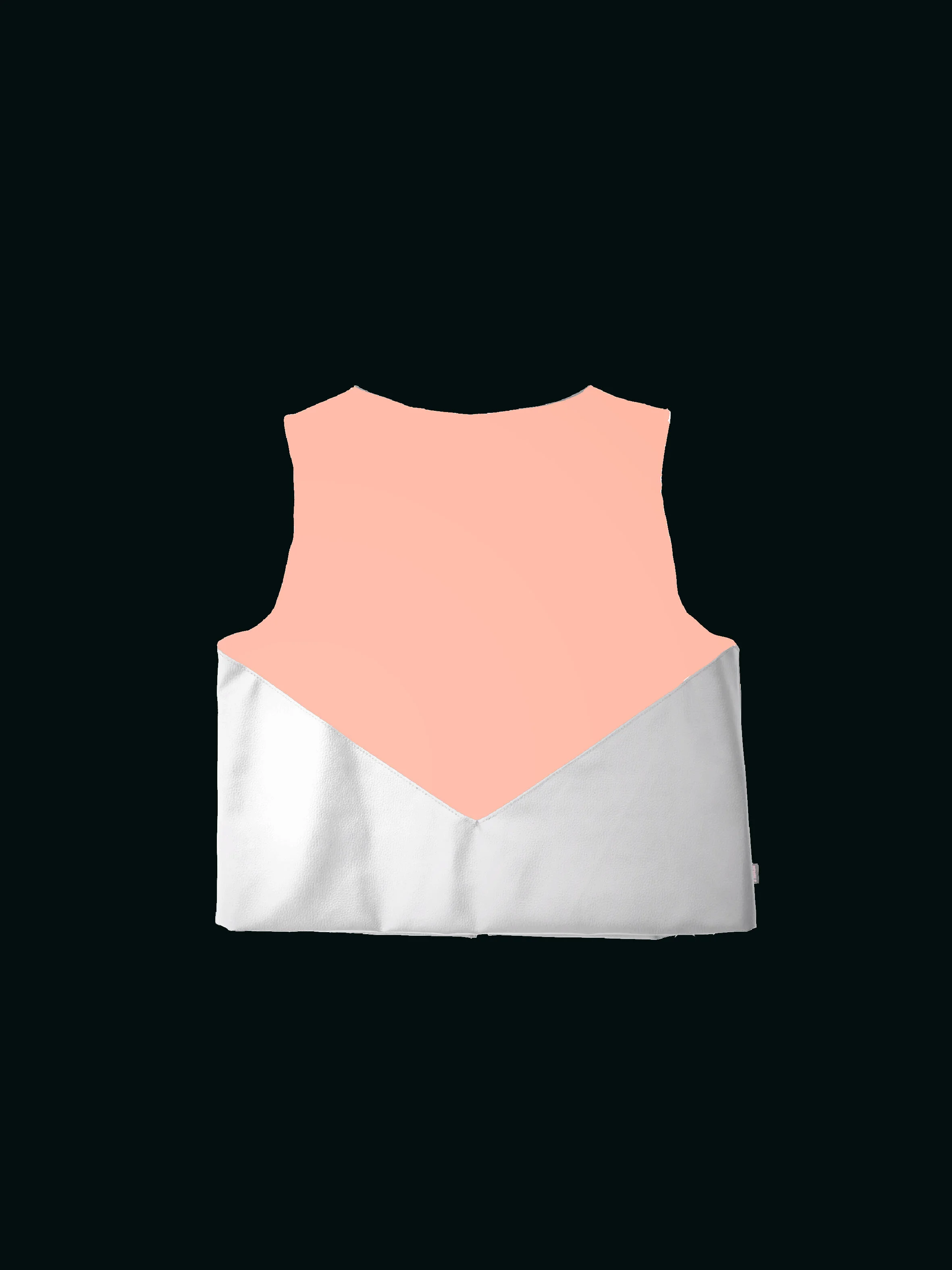 PEACHVegan%20Leather%20'Out%20of%20Order'%20Motor-Cycle%20Style%20Suit%20Vest%20back copy.jpg