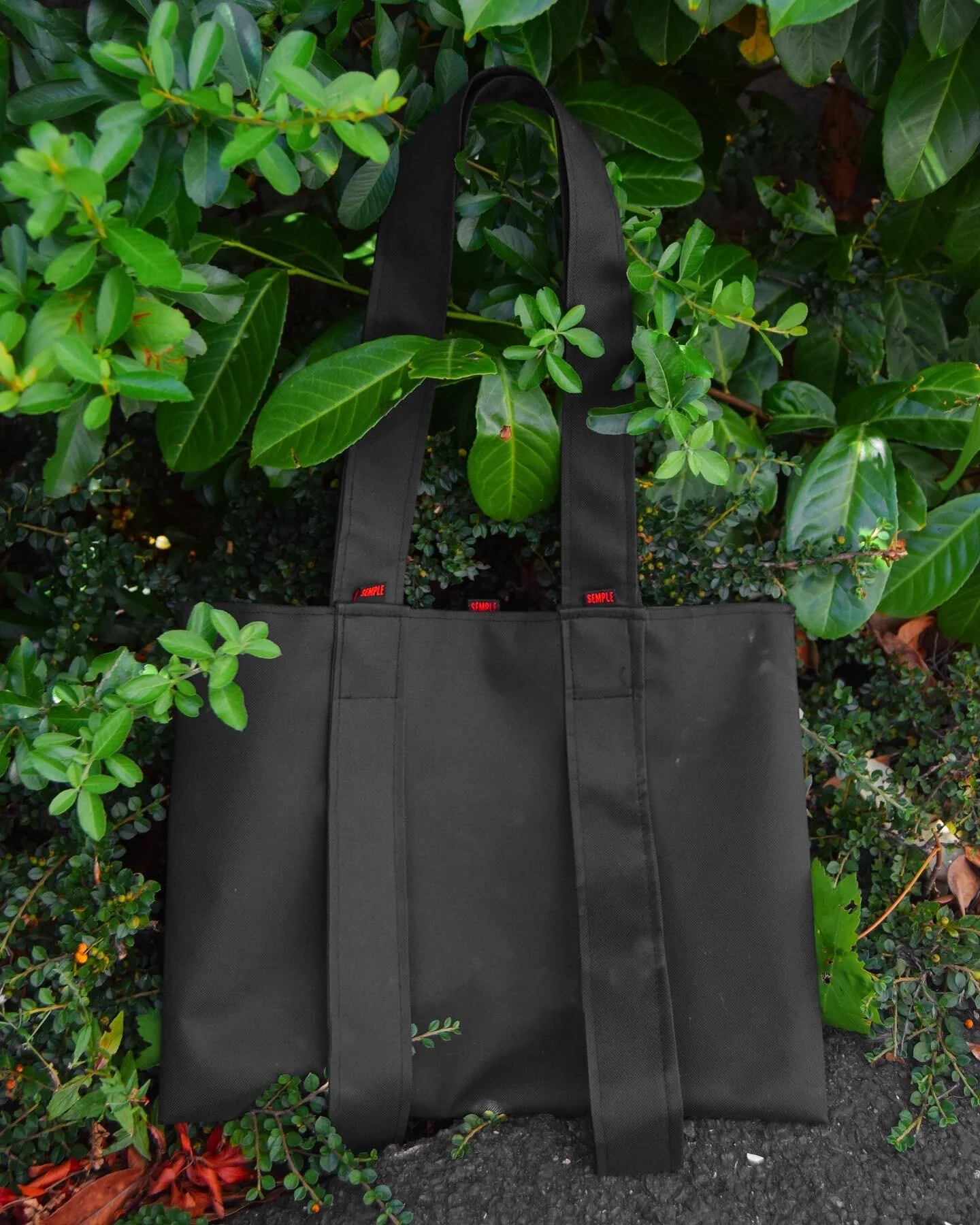 2D930B0B-B40B-4D4E-AD9B-BDA663DEDECE